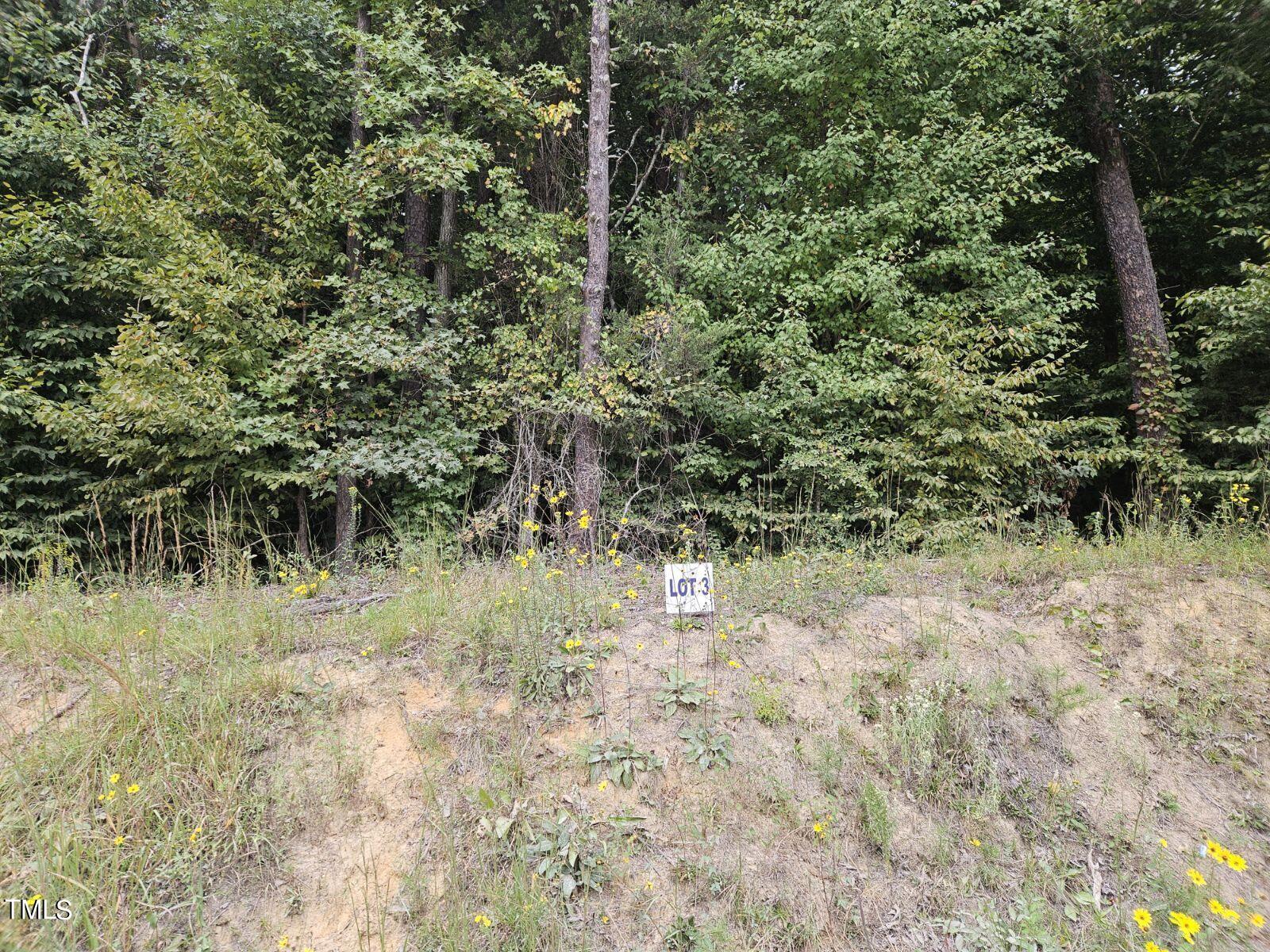 Lot 3 Doll Branch Road Property Photo