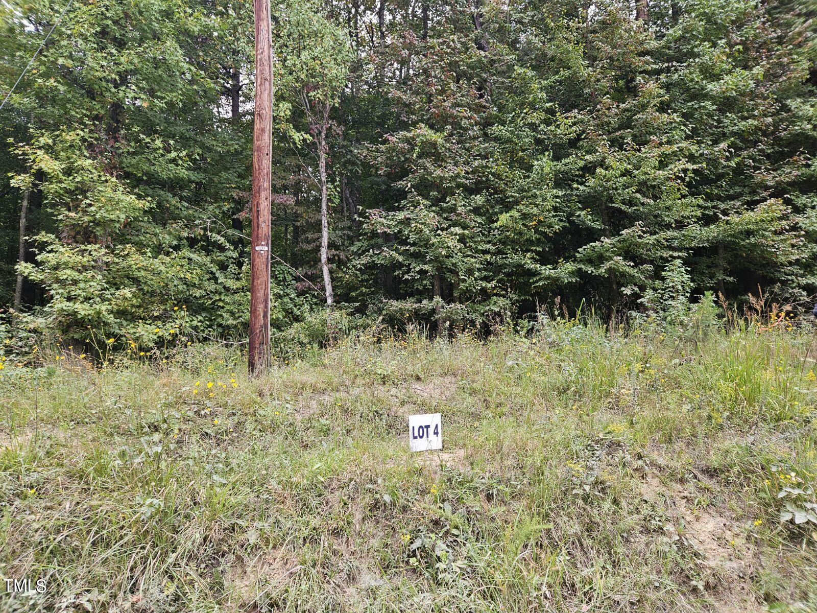 Lot 4 Doll Branch Road Property Photo