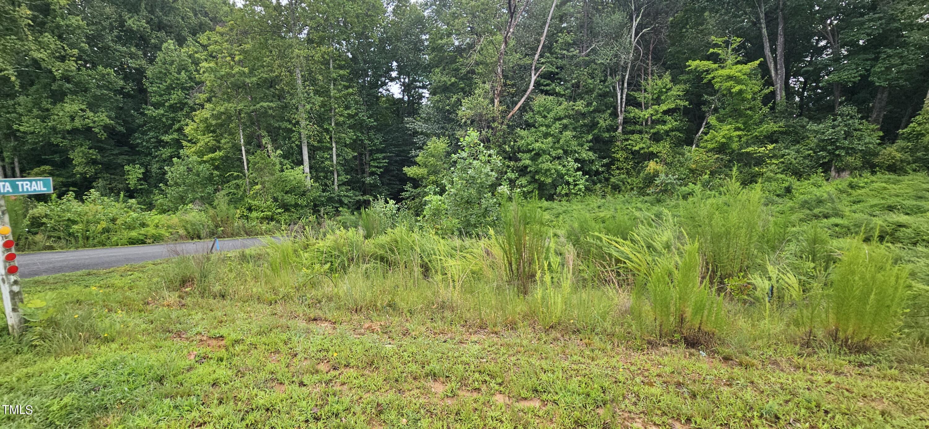0 Lake Vista Trail Property Photo