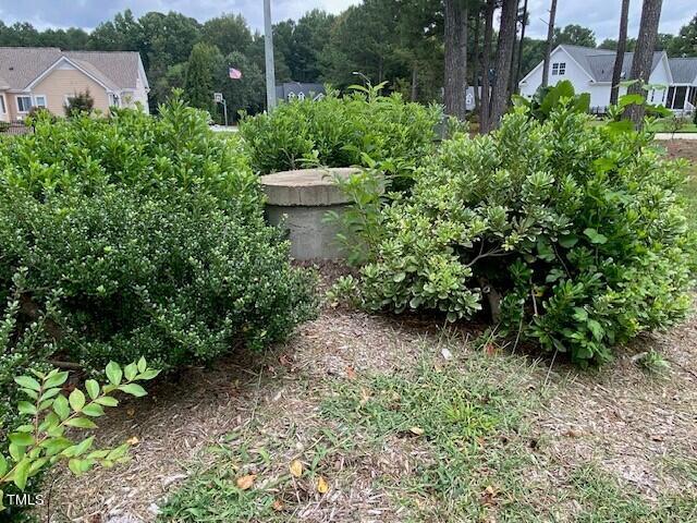 1009 Portico Place Property Photo 41