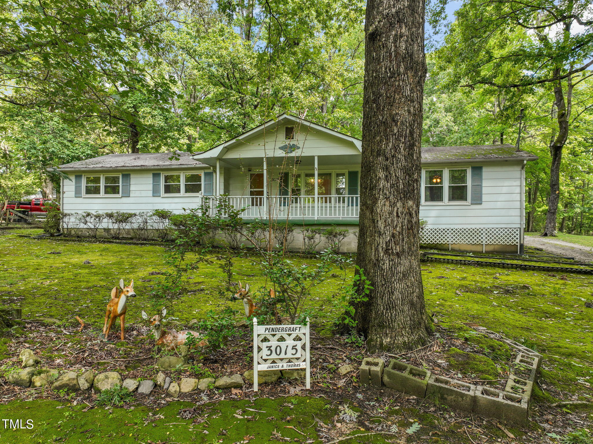 3015 Old Raleigh Road Property Photo 42