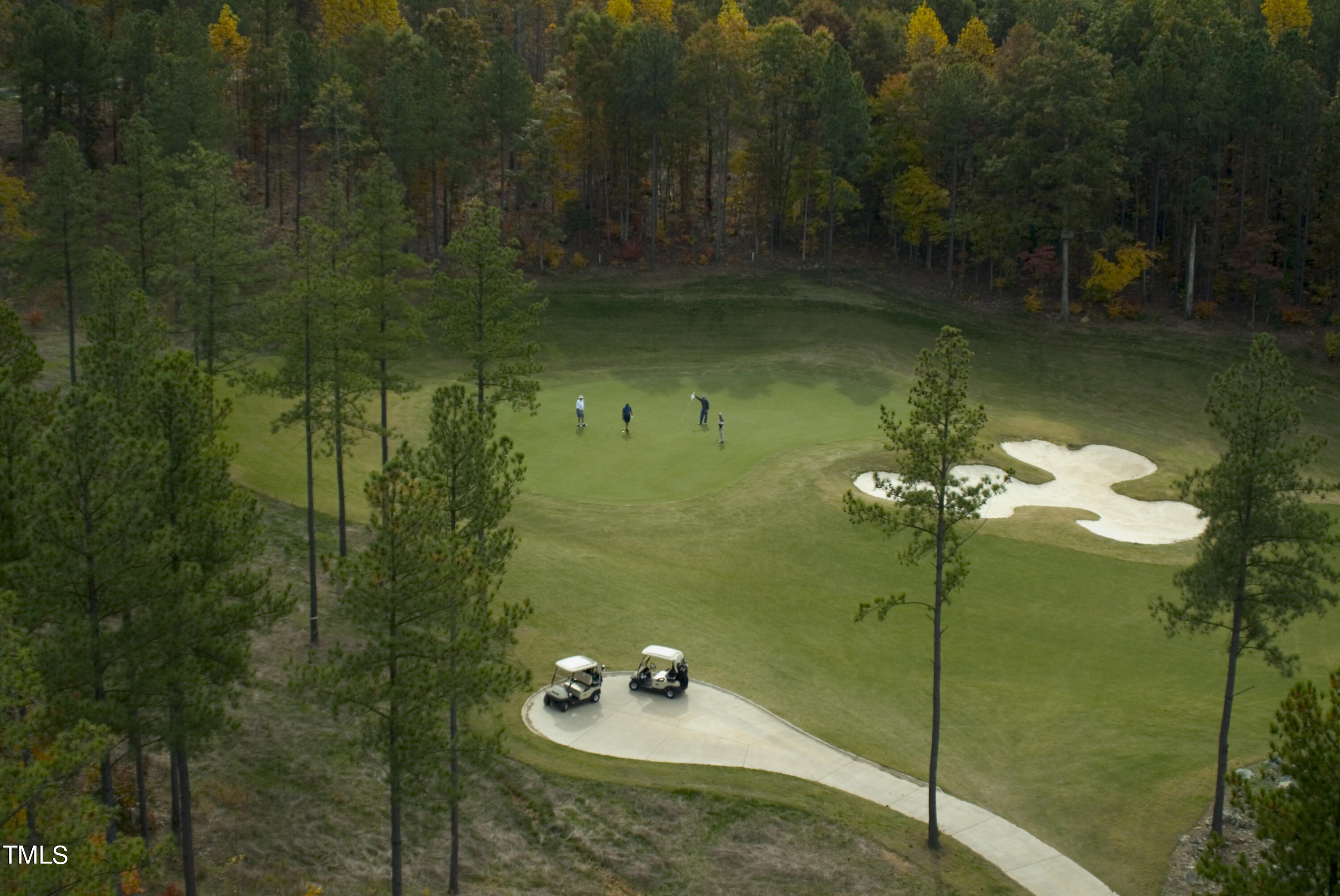 95 Old Hickory Property Photo 6