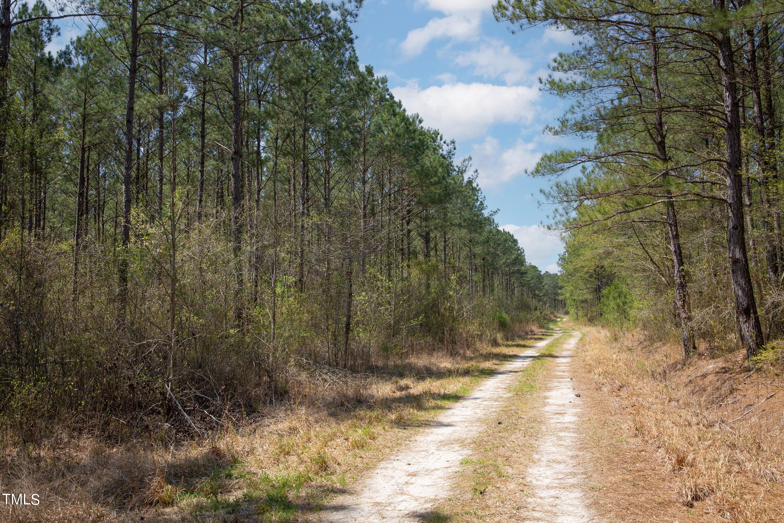 0 Gum Swamp Church Road Property Photo