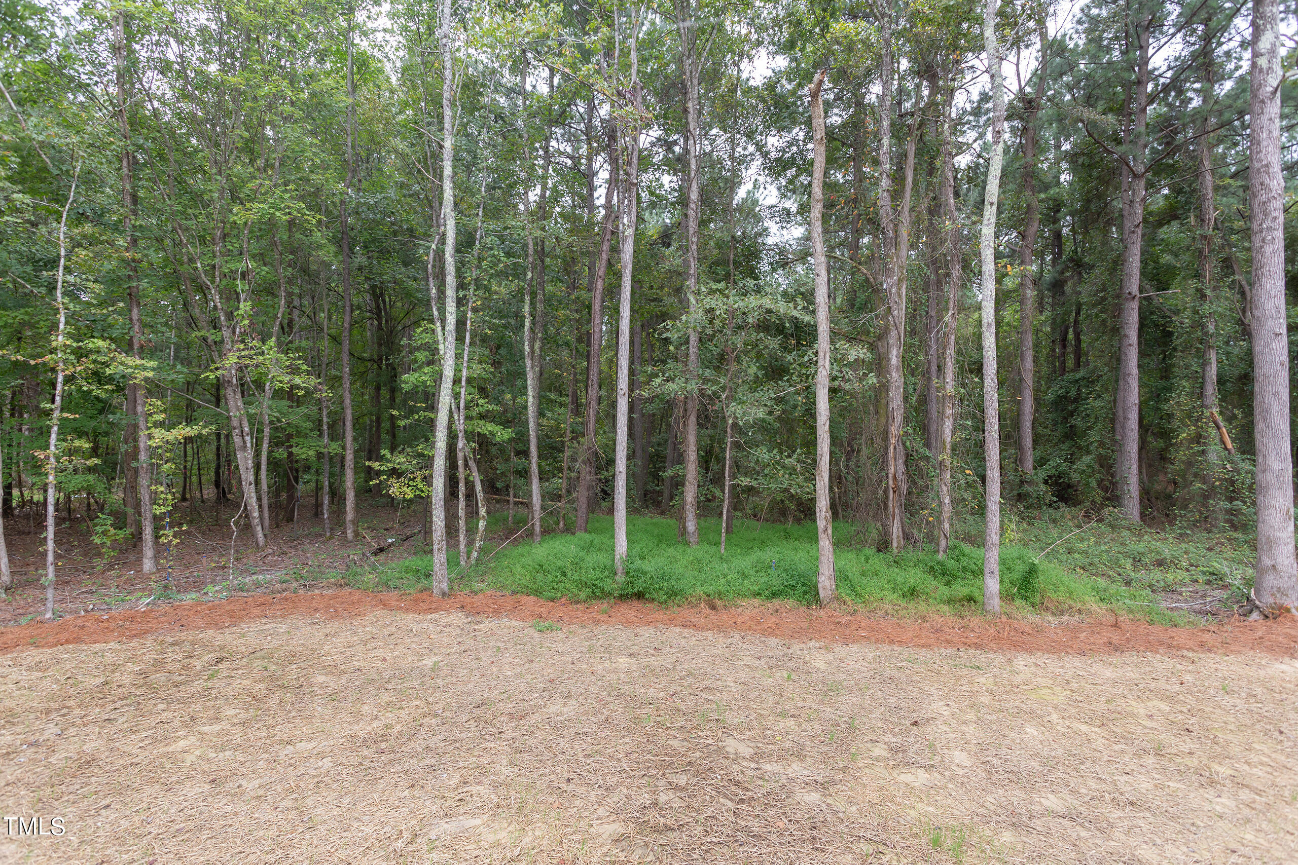 10 Harvest View Way Property Photo 50