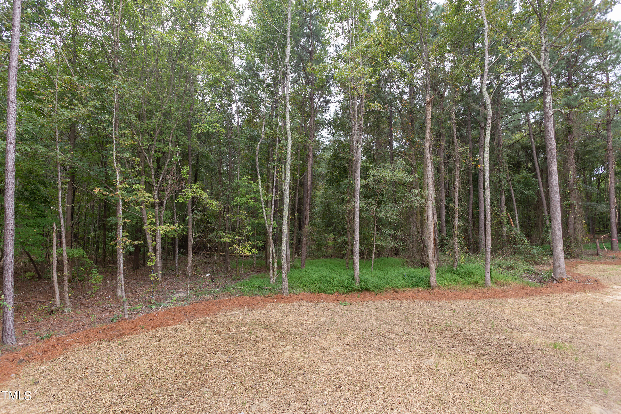 10 Harvest View Way Property Photo 51