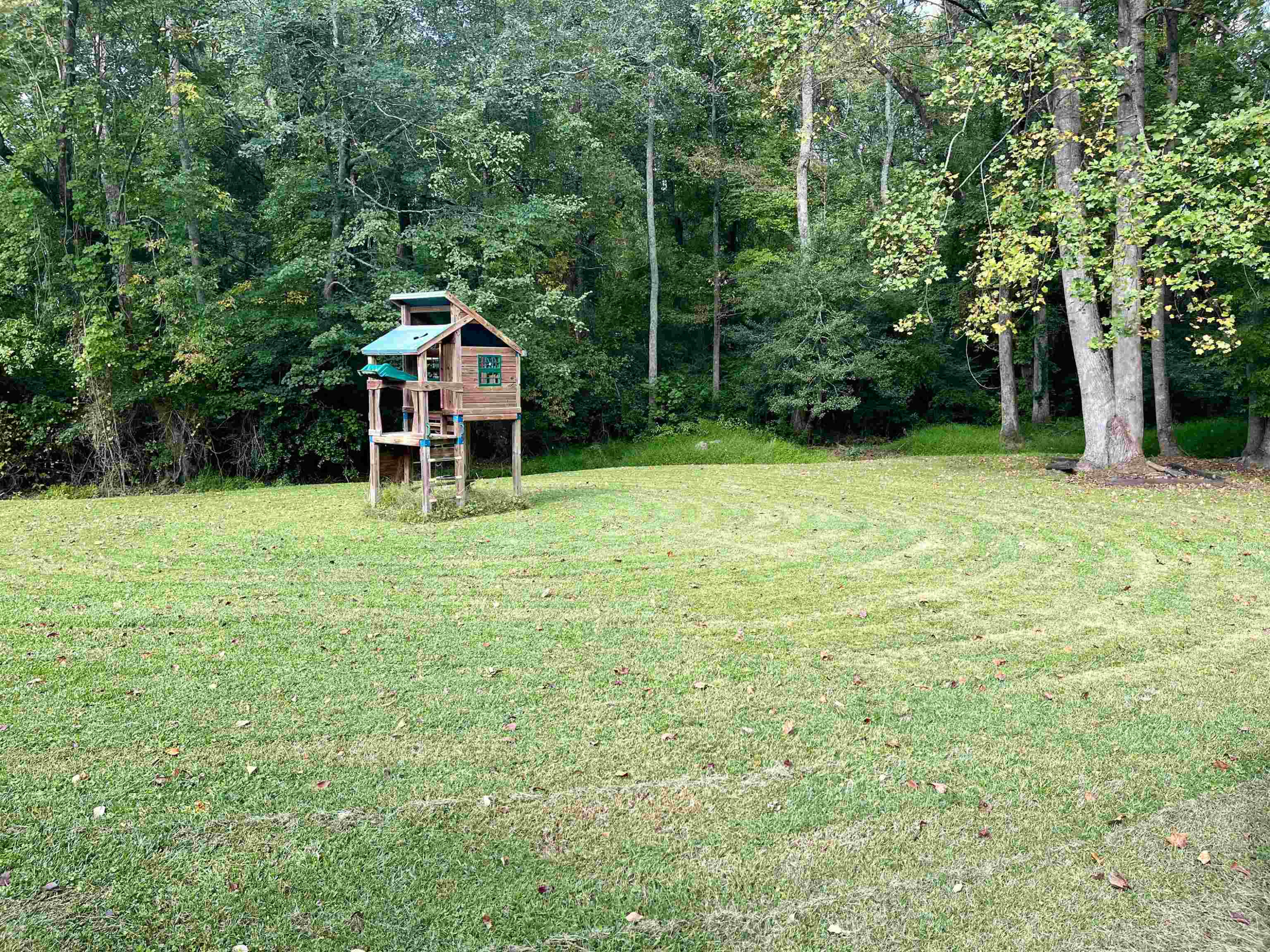 1229 Tulip Street Property Photo 11