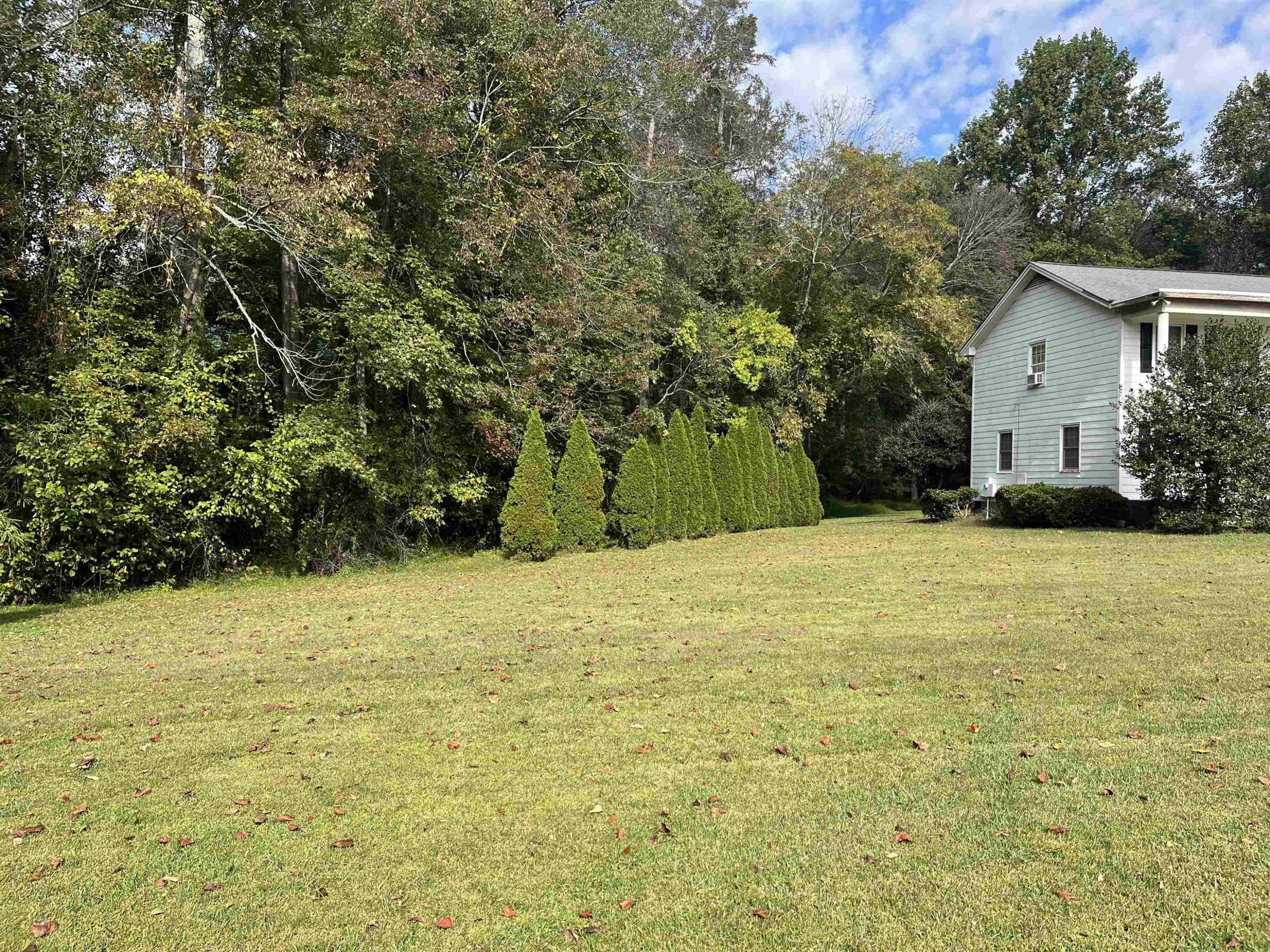 1229 Tulip Street Property Photo 13