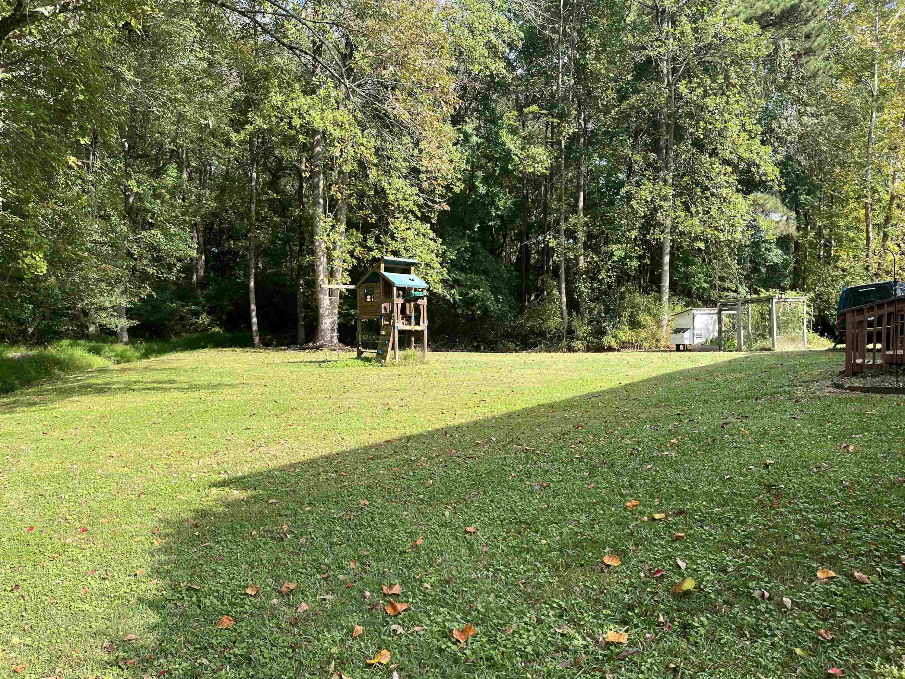 1229 Tulip Street Property Photo 14