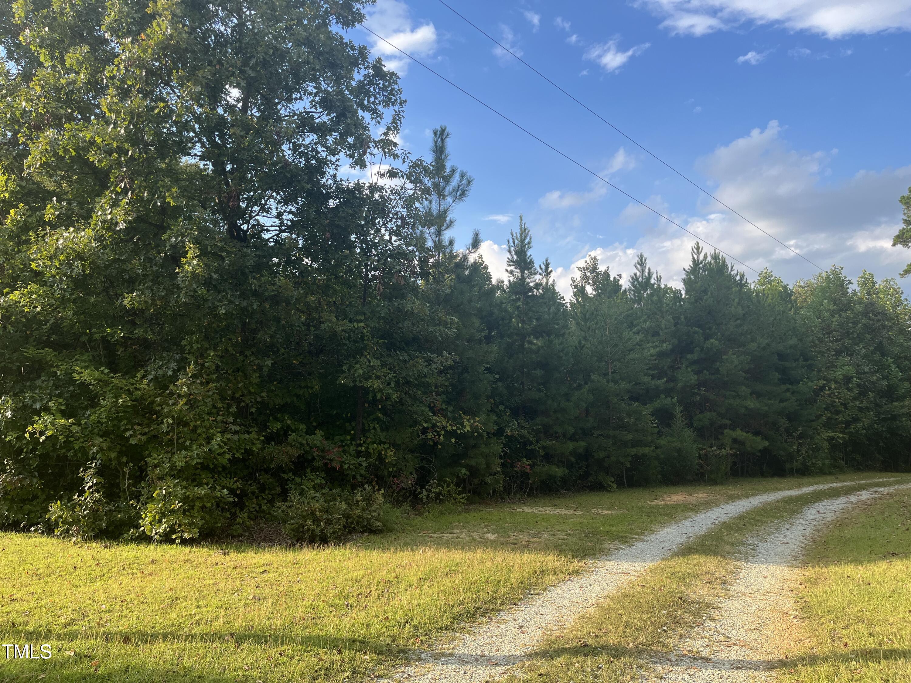 0000 Royster Clay Road Property Photo 7