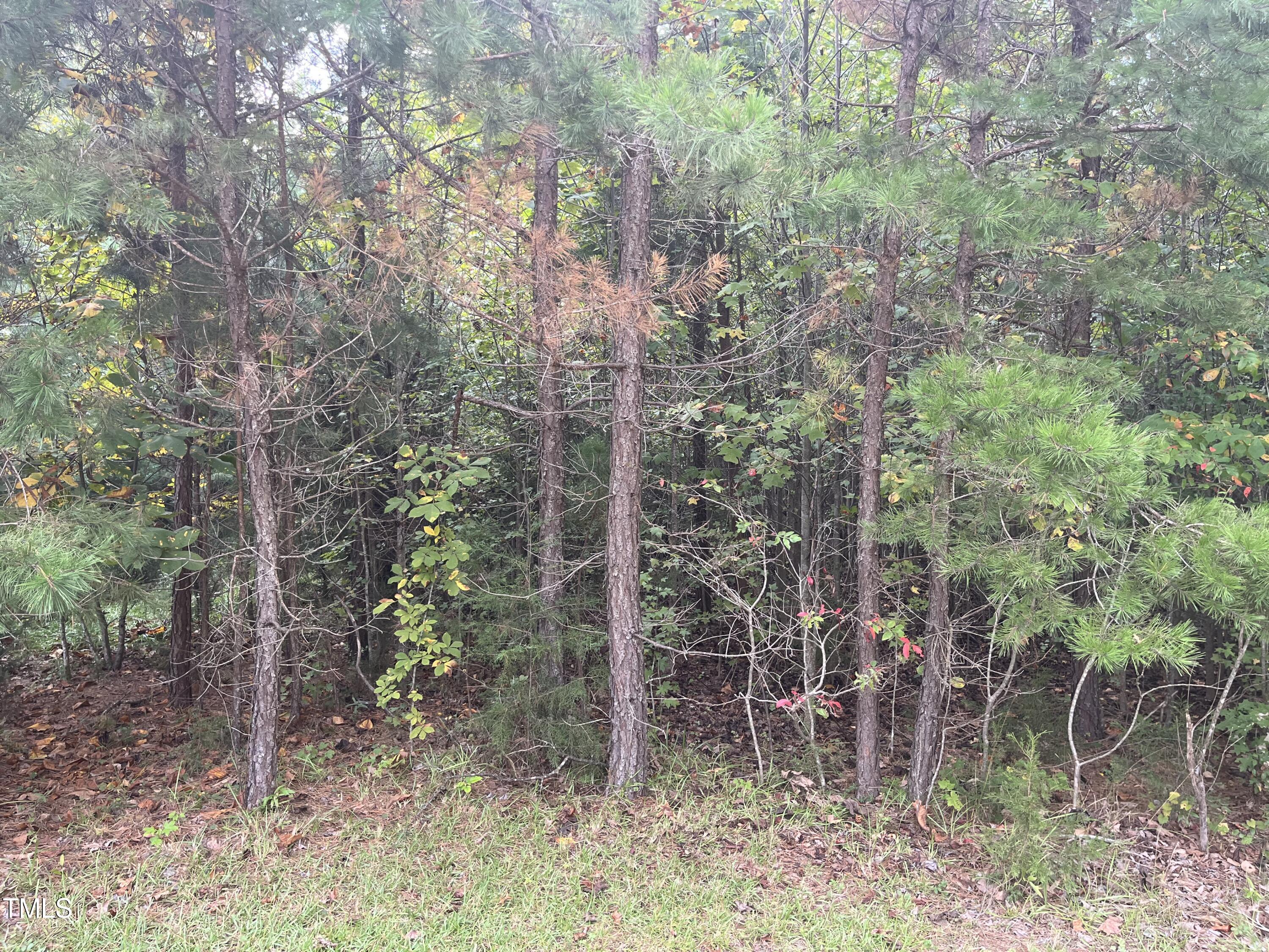 0000 Royster Clay Road Property Photo 8