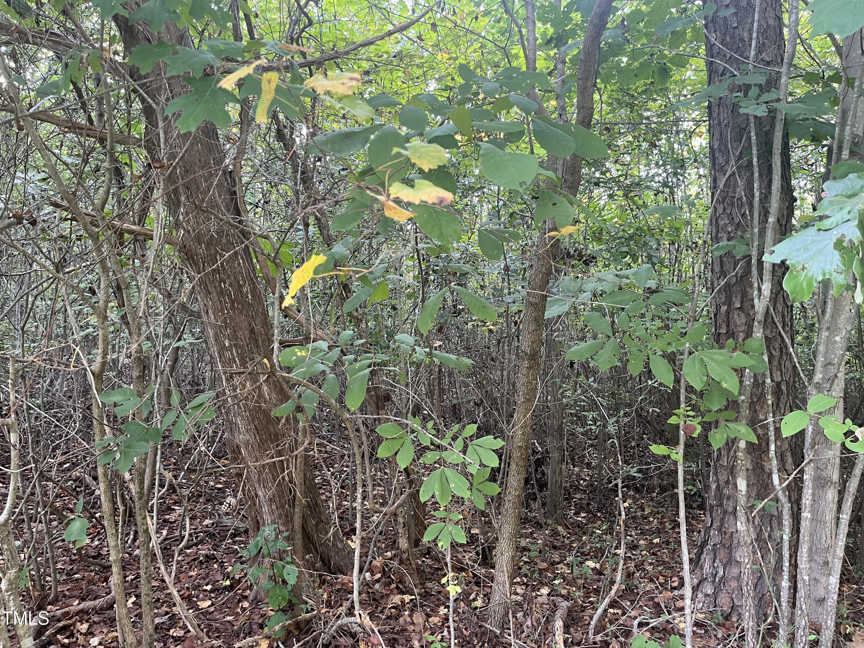 0000 Royster Clay Road Property Photo 9