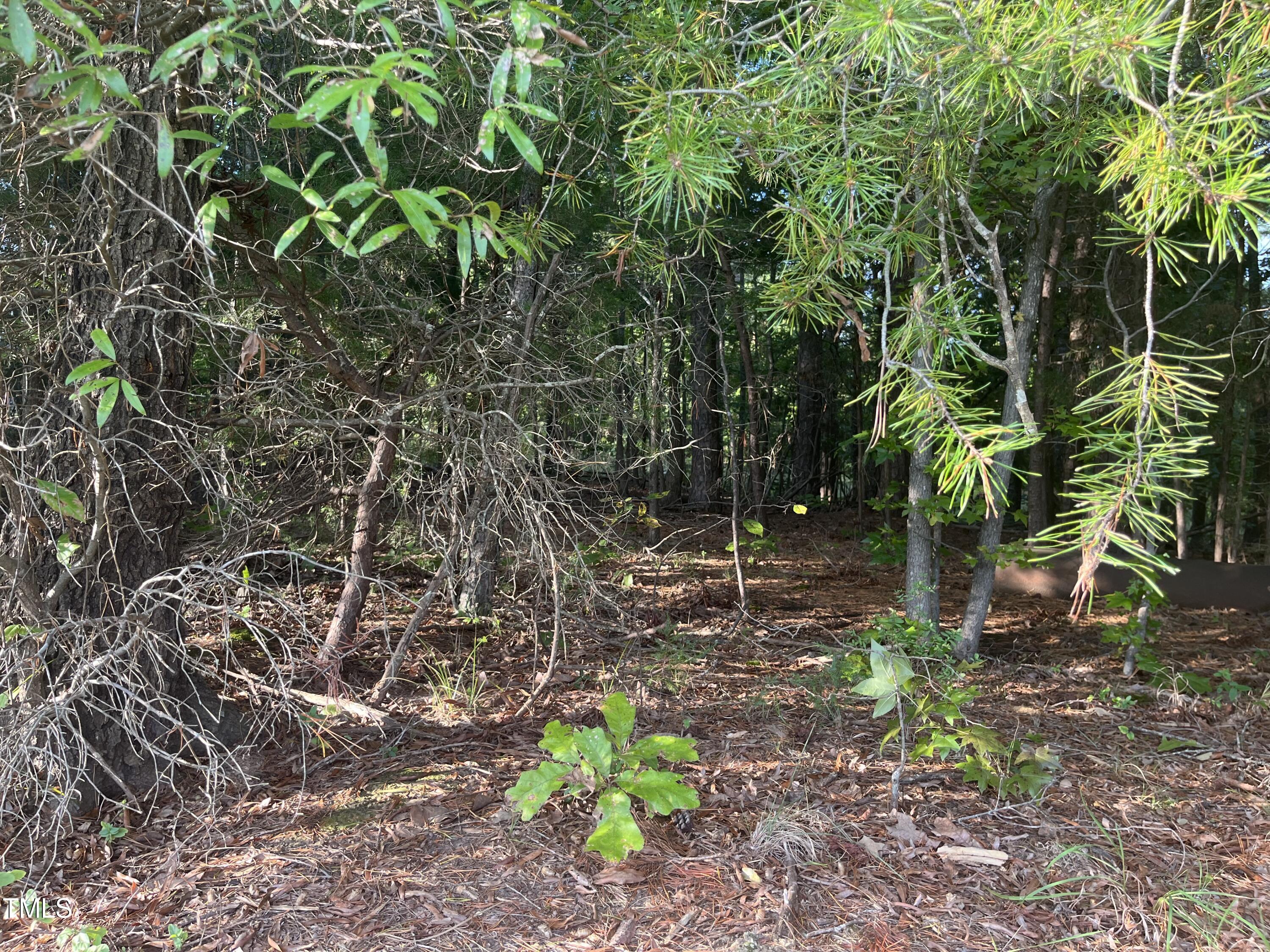 0000 Royster Clay Road Property Photo 11
