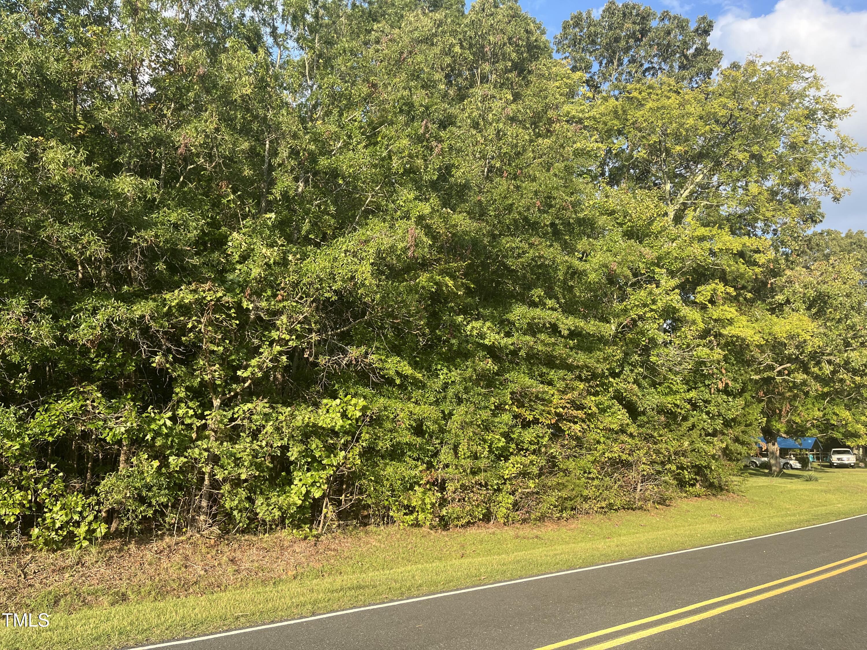 0000 Royster Clay Road Property Photo 12