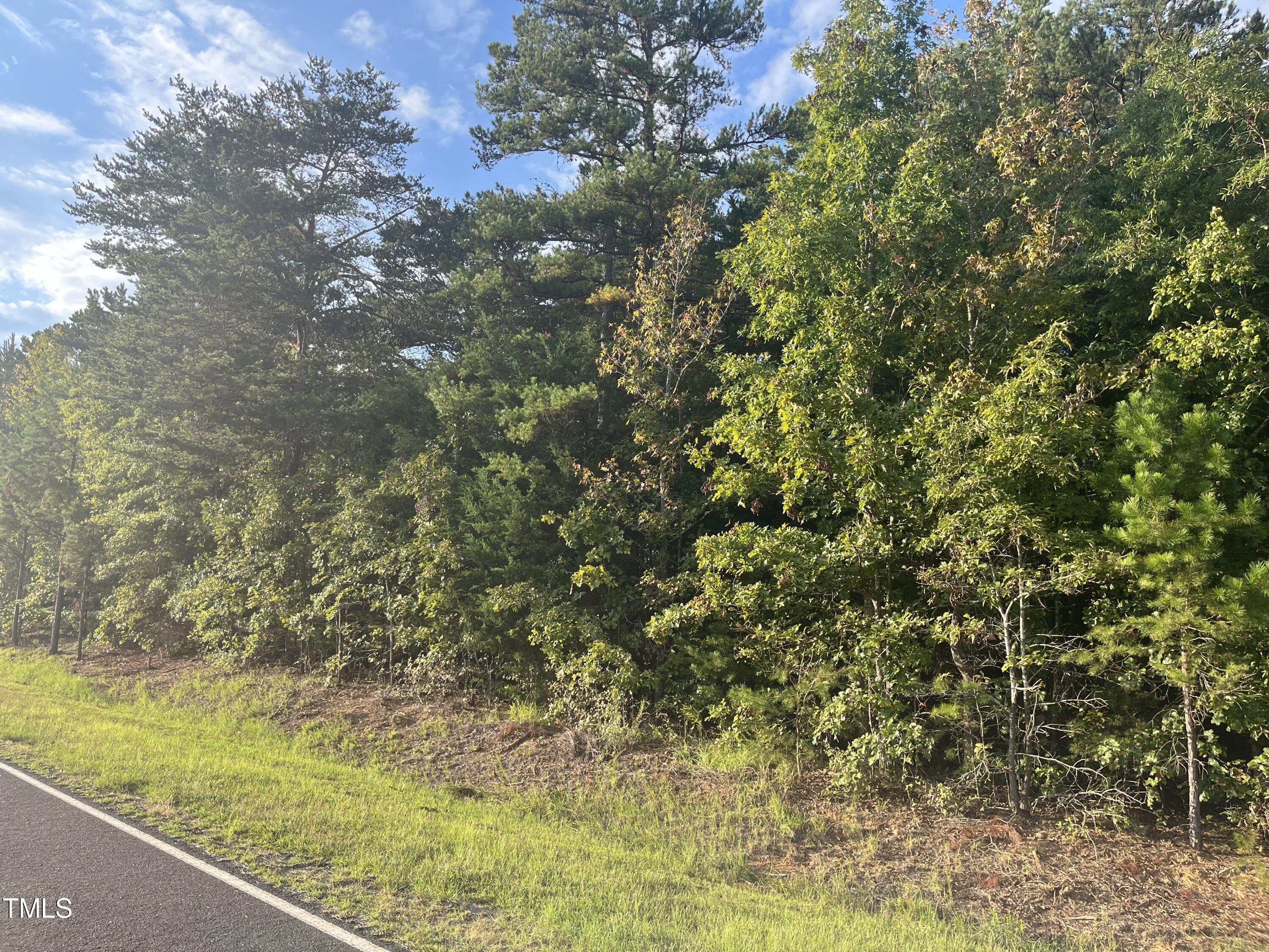 0000 Royster Clay Road Property Photo 13