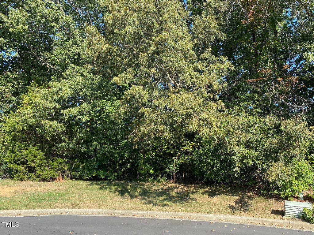 6503 Thurlow Court Property Photo 3