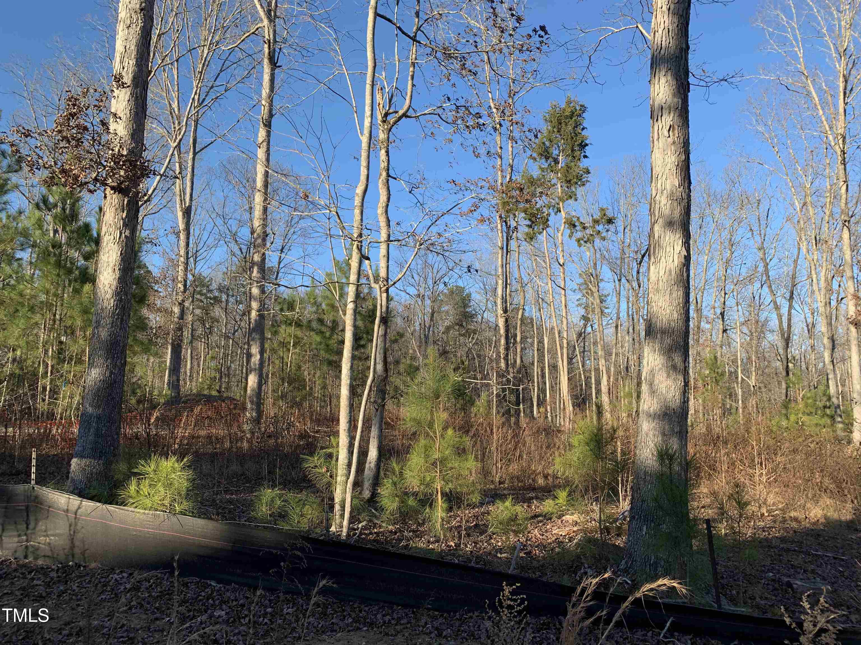 586 Poythress Road Property Photo 4