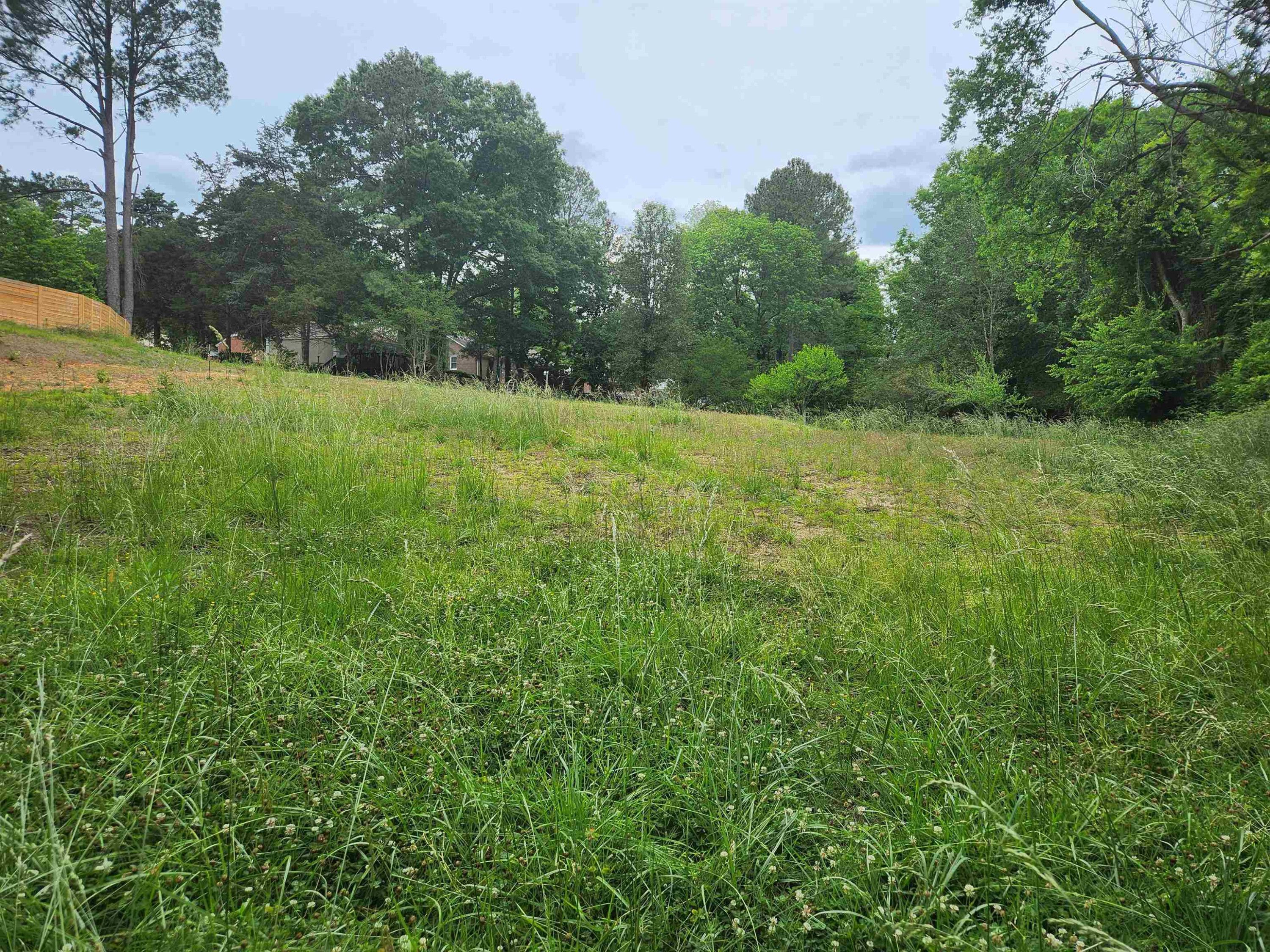 3613 B Suffolk Street Property Photo 7
