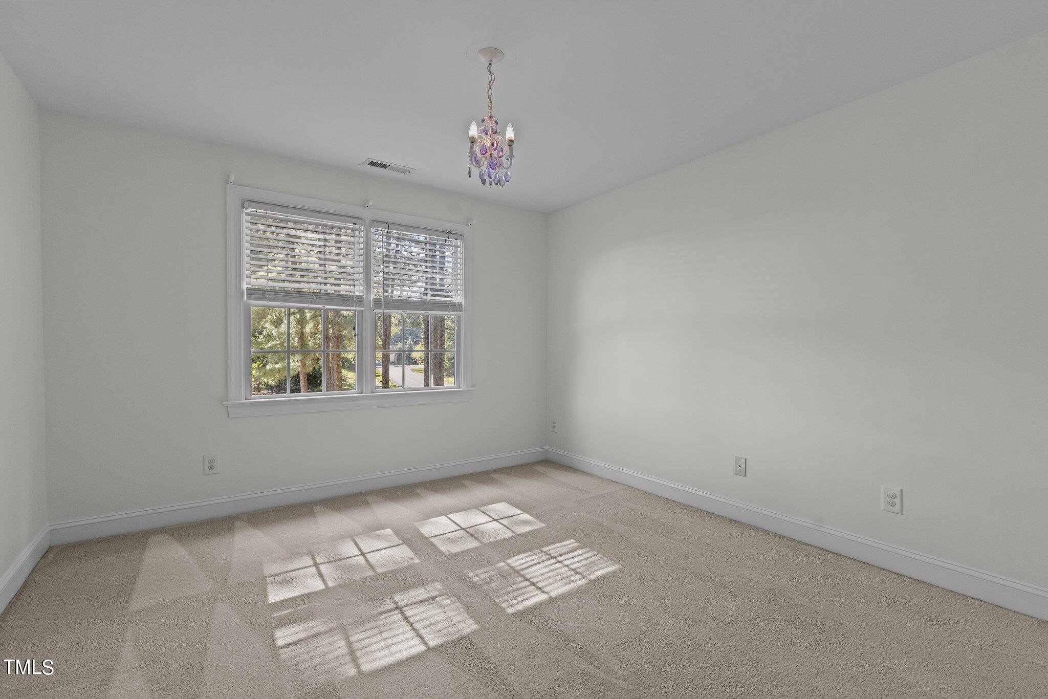 2 Piney Ridge Court Property Photo 27