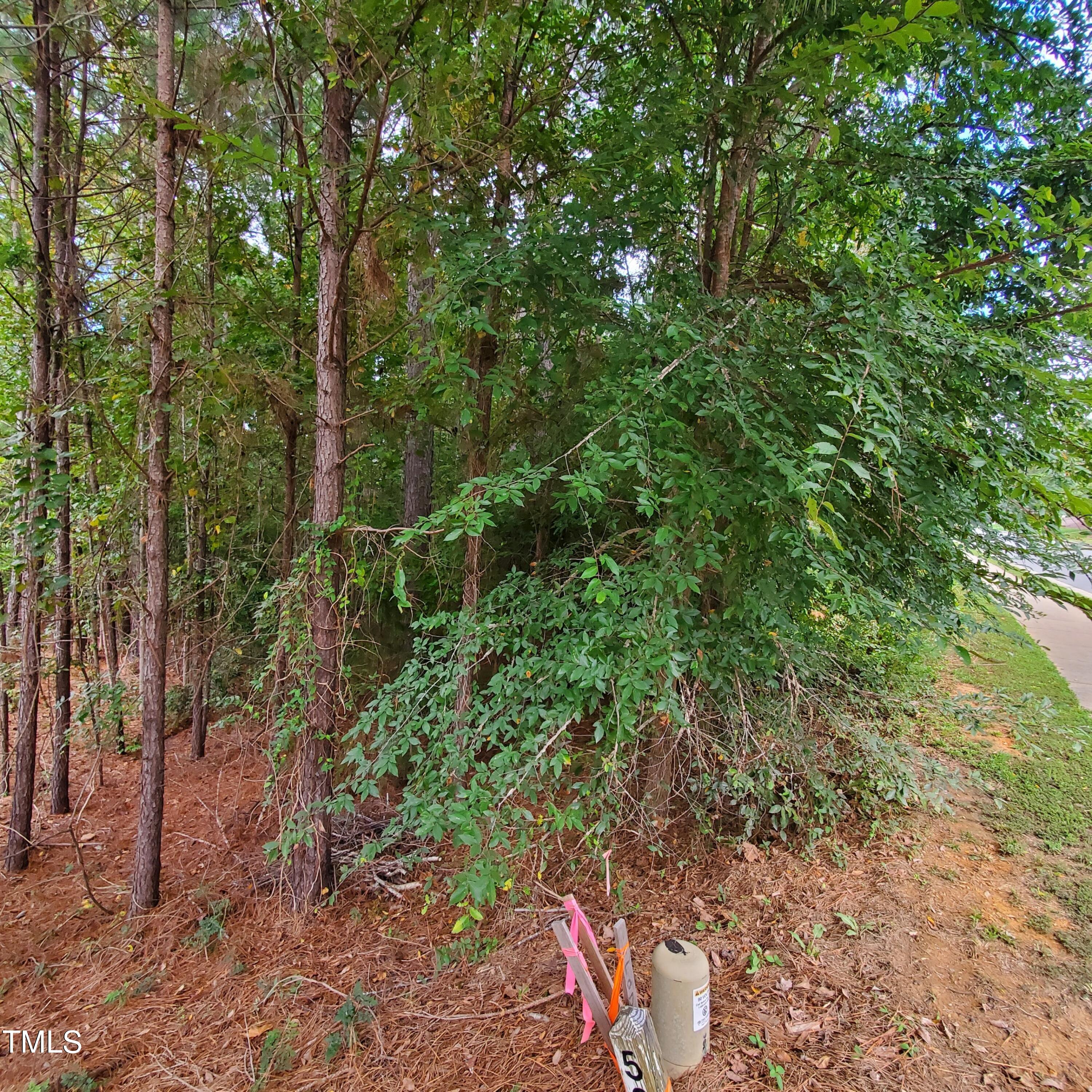 774 Golfers View Property Photo 6