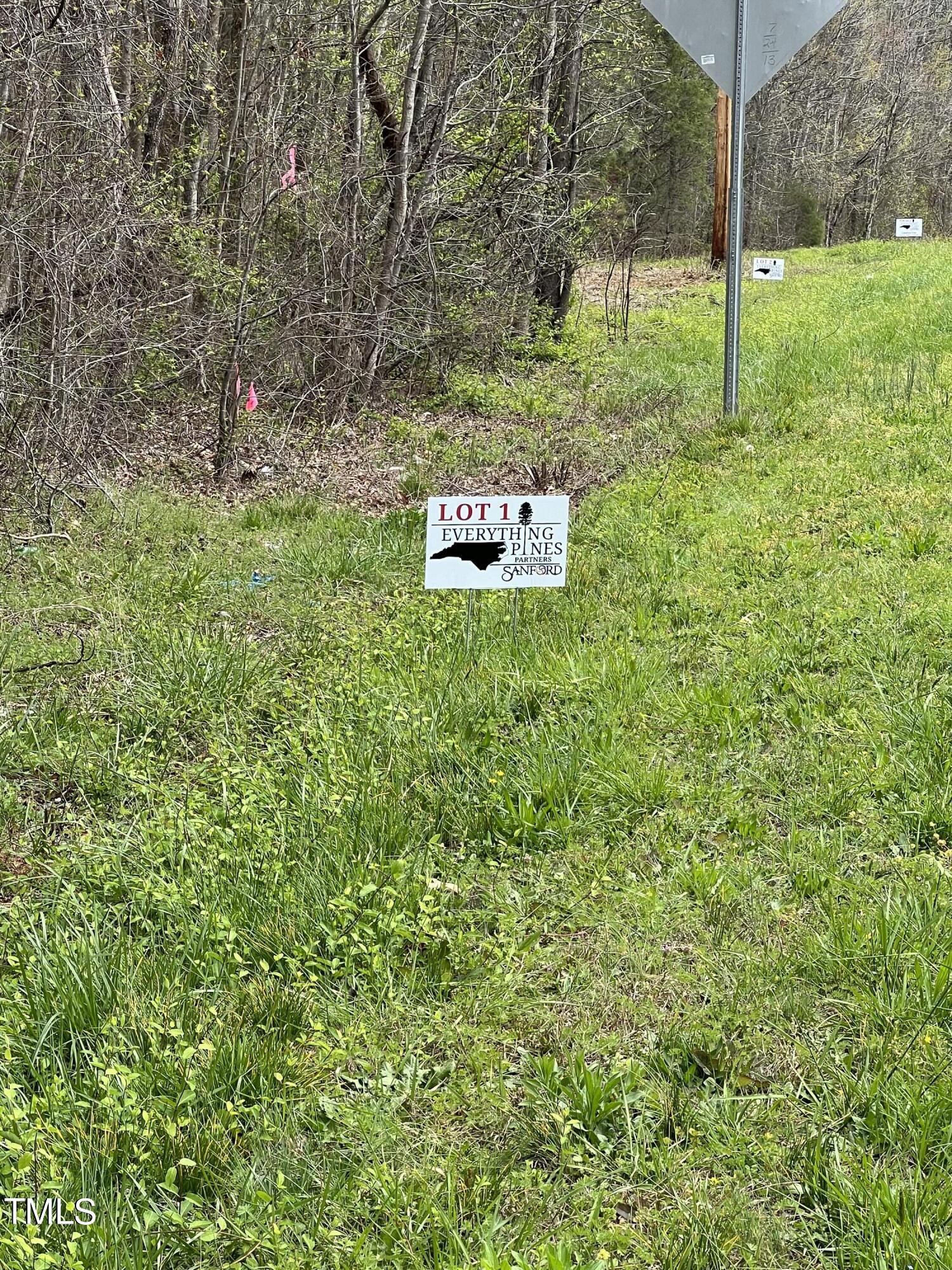 Lot 1 Elmer Moore Road Property Photo