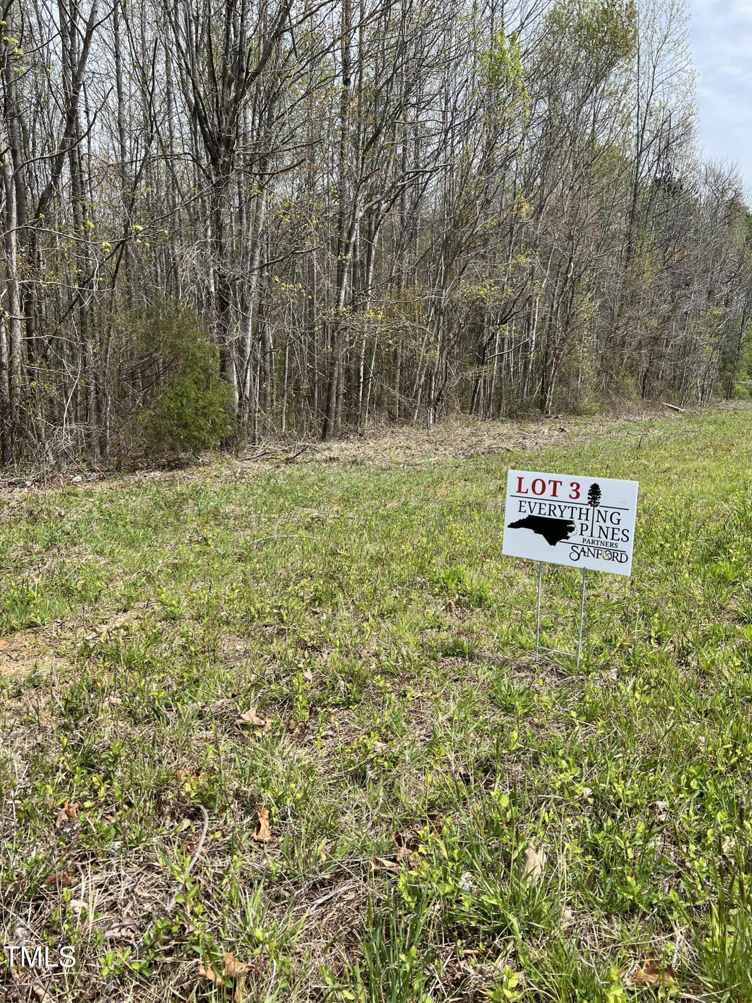 Lot 3 Elmer Moore Road Property Photo