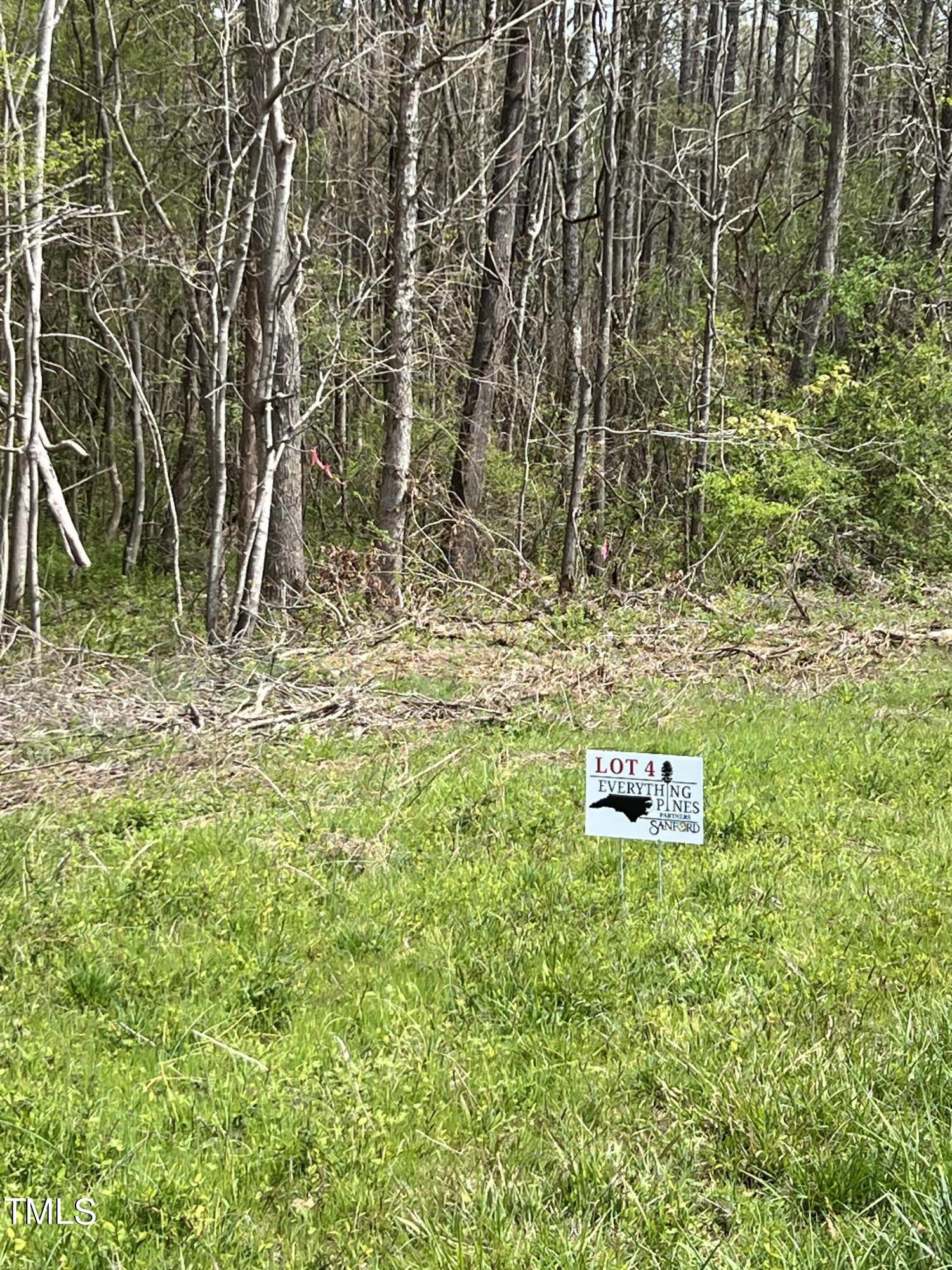 Lot 4 Elmer Moore Road Property Photo
