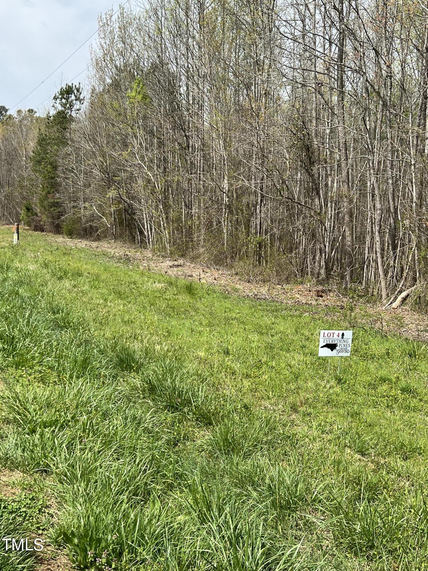 Lot 4 Elmer Moore Road Property Photo 2