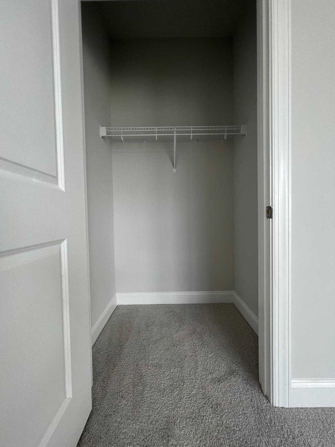 1006 Falling Rock Place Property Photo 6