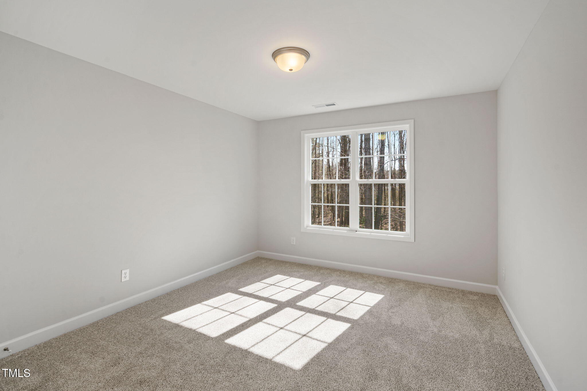 49 Abingdon Farms Drive Property Photo 21