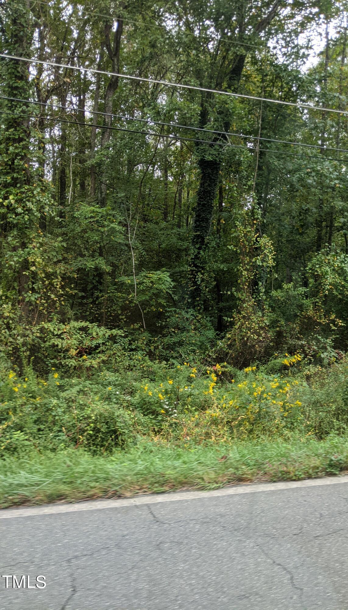 0 Elon Ossipee Property Photo