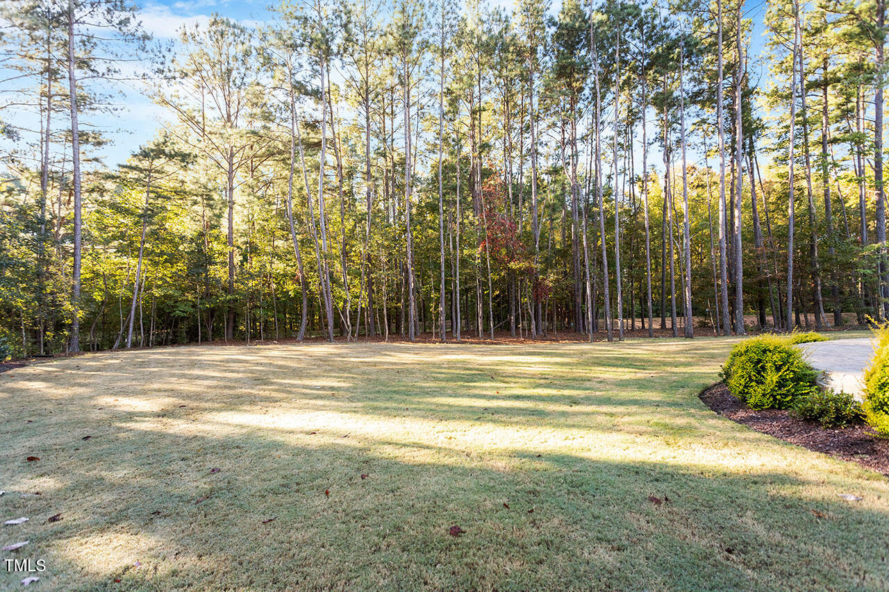 2028 Pleasant Forest Way Property Photo 40