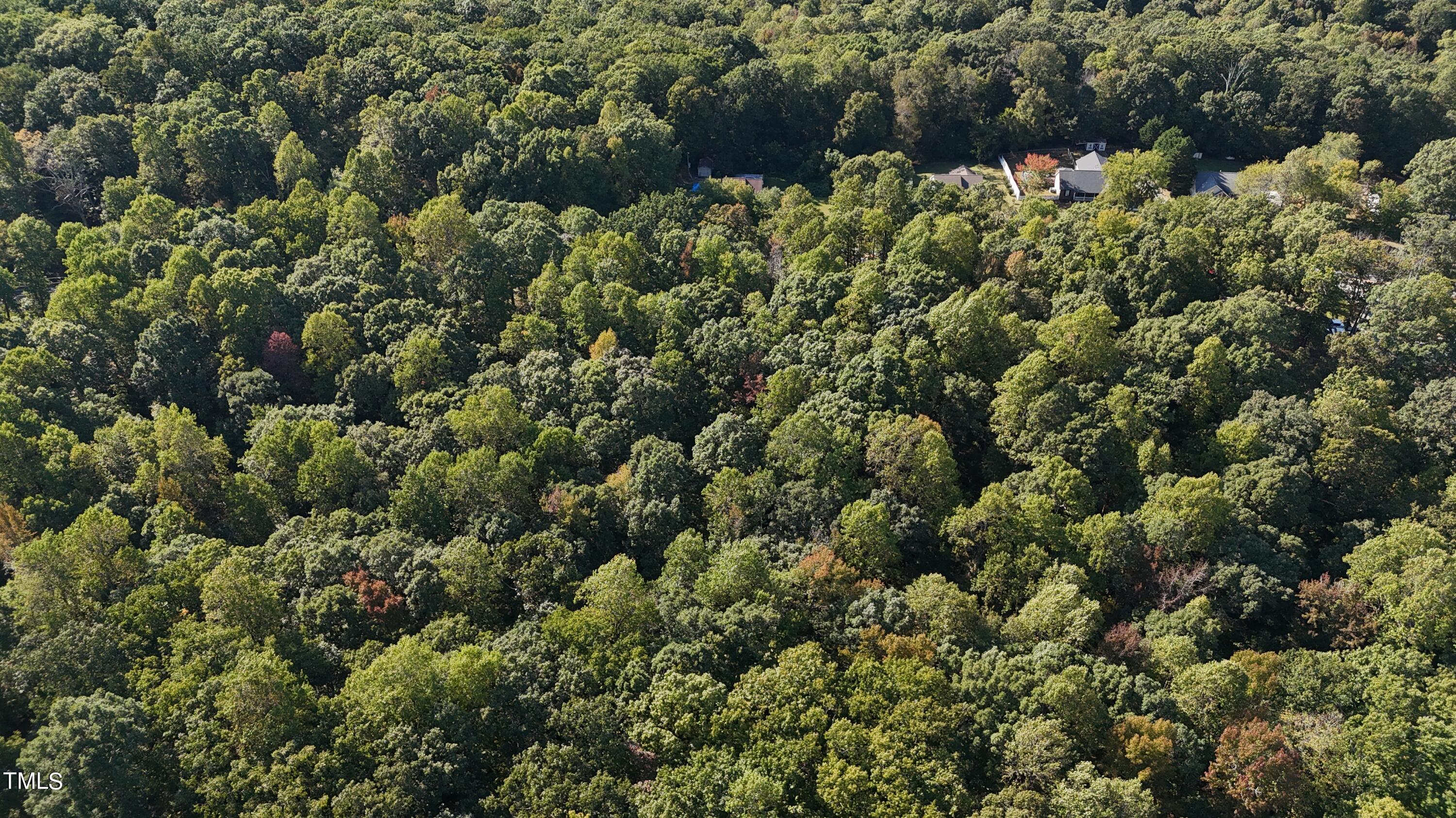 5420 Bass Mountain Road Property Photo 5