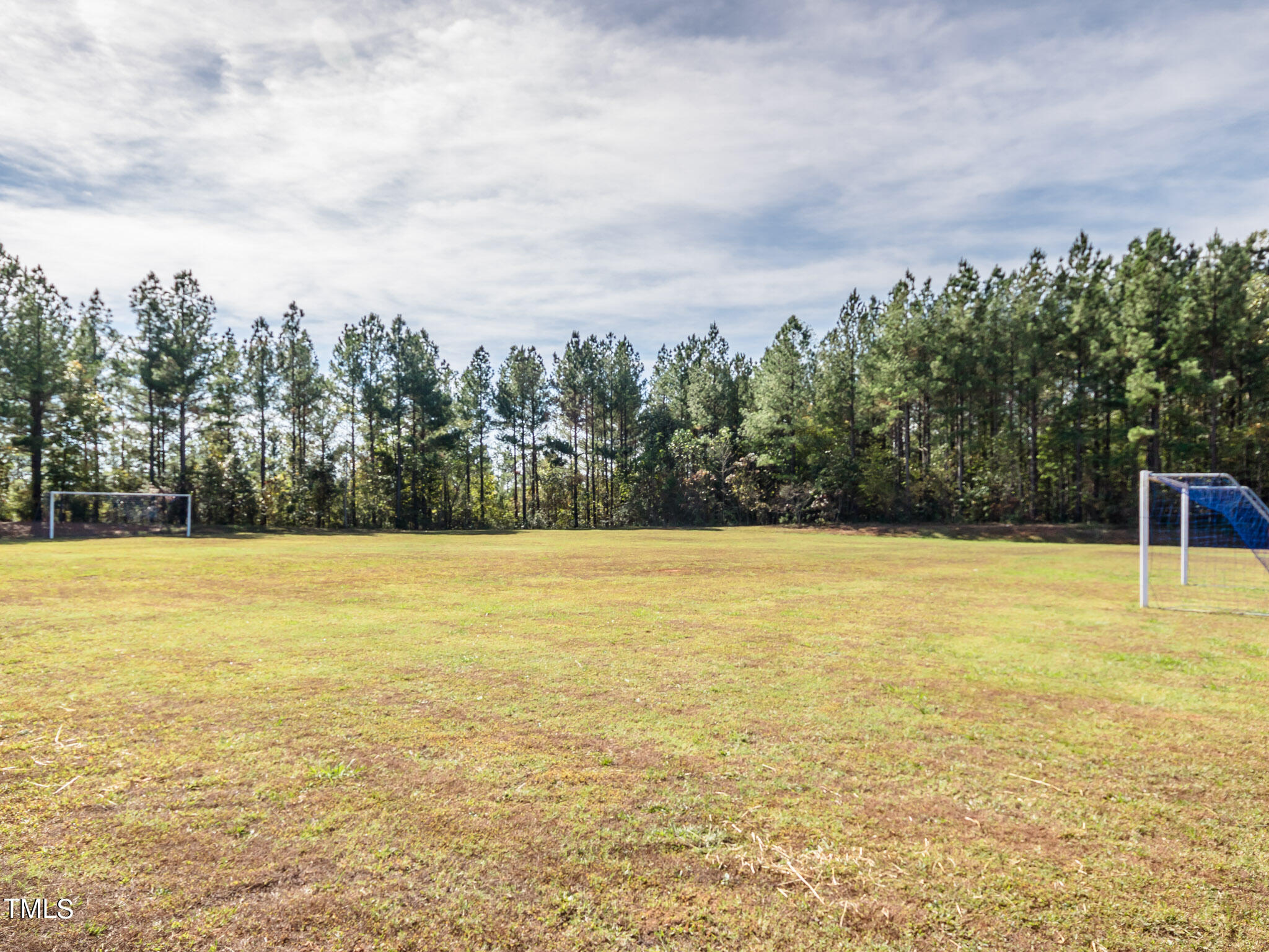 15 Brandon Pines Court Property Photo 42