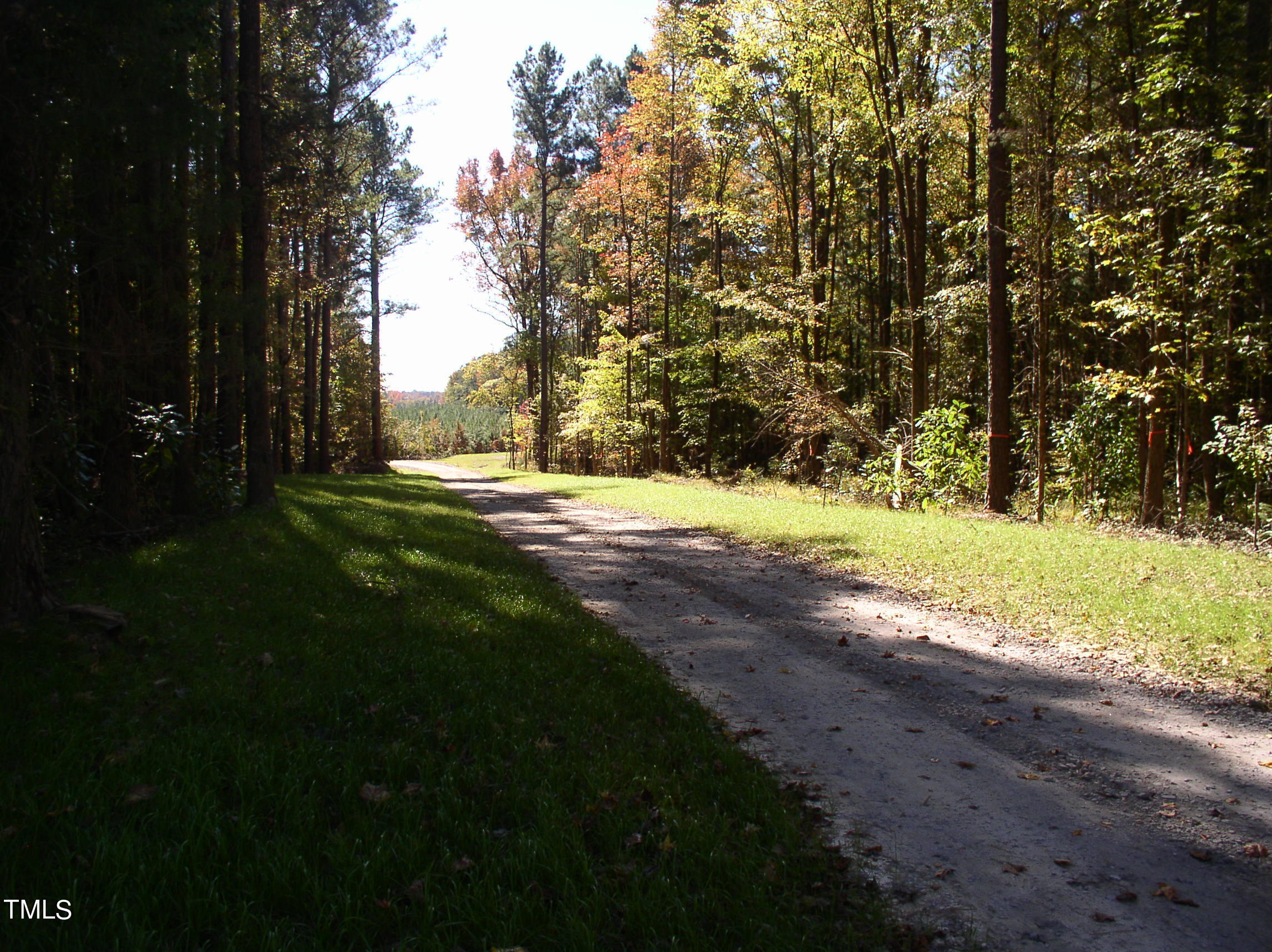517 Pinecone Lane Property Photo 1
