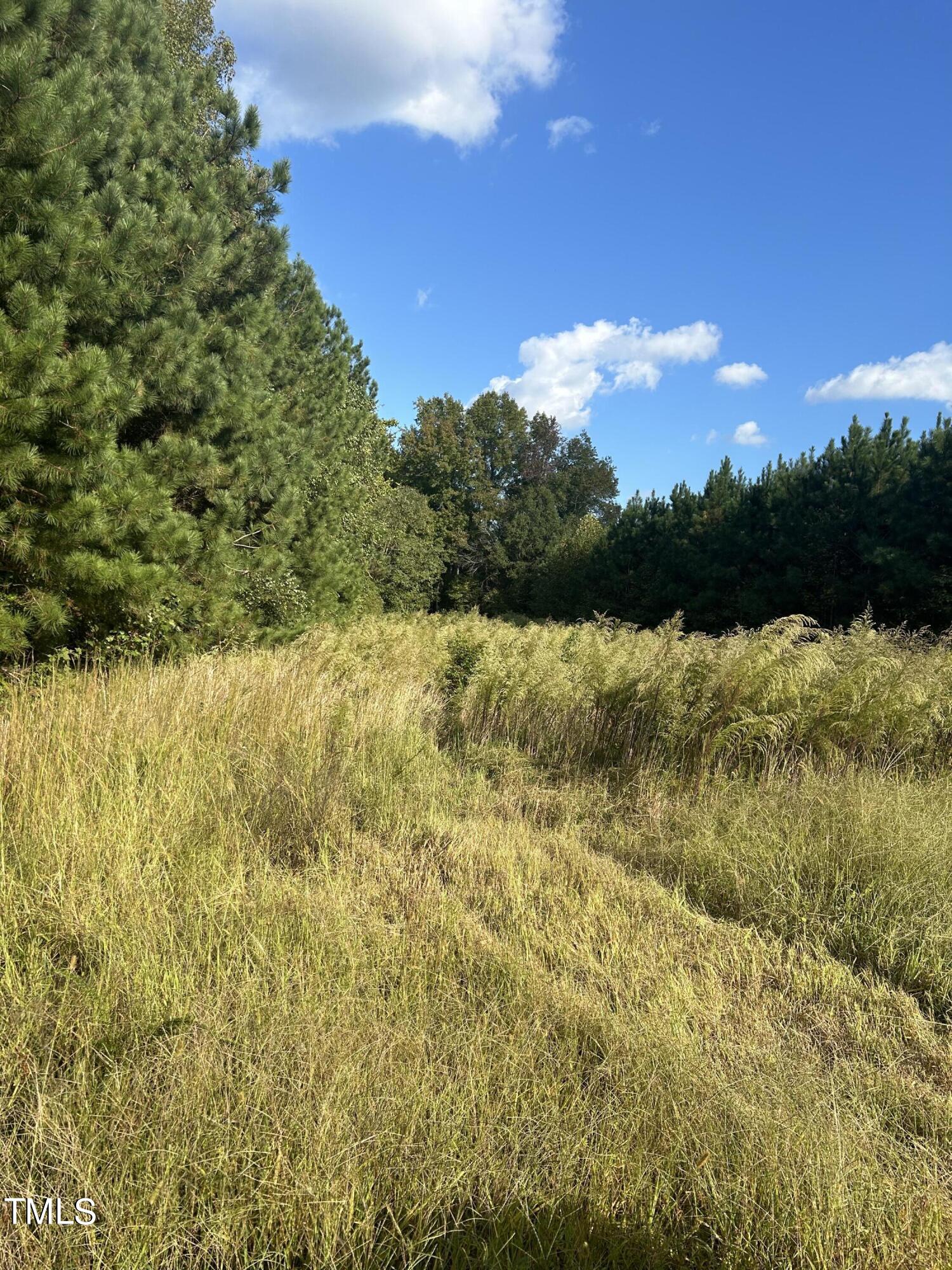 0 S Cokesbury Road Property Photo 5