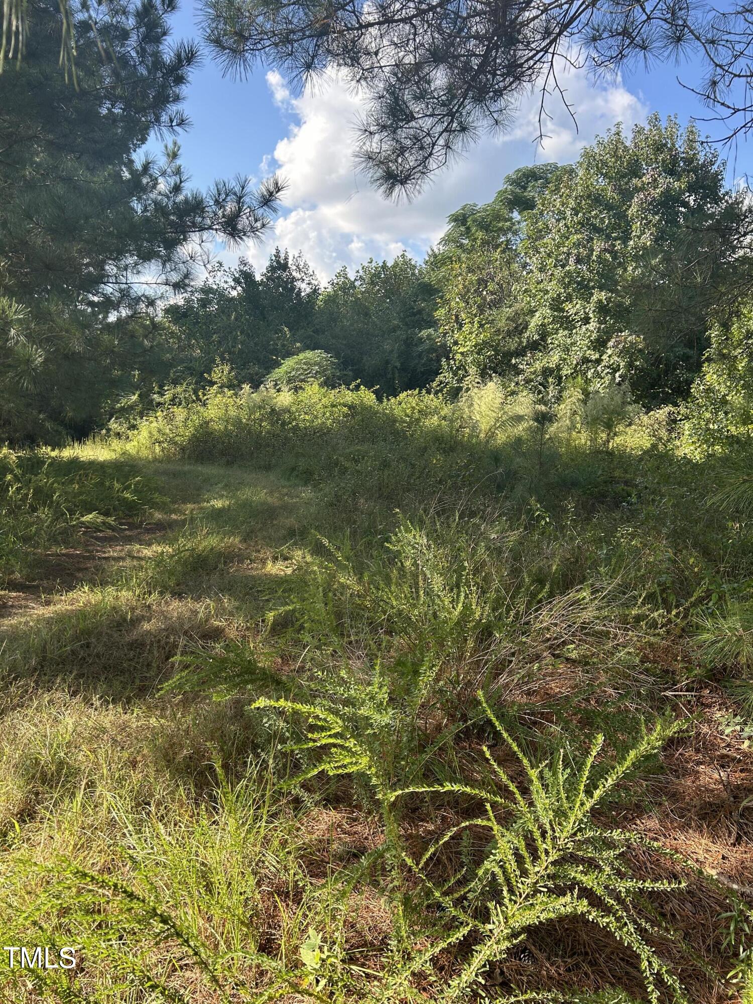 0 S Cokesbury Road Property Photo 6