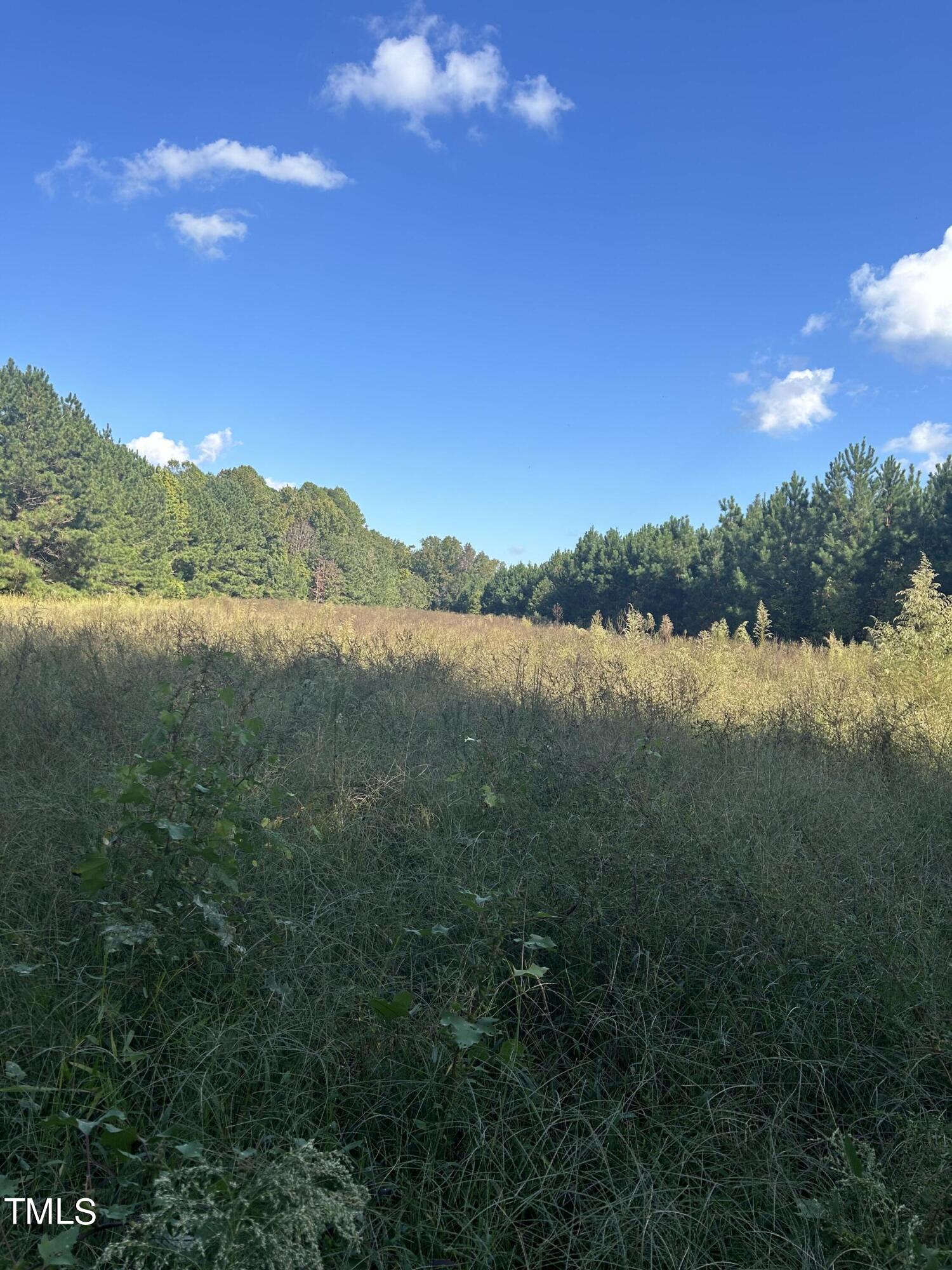 0 S Cokesbury Road Property Photo 7