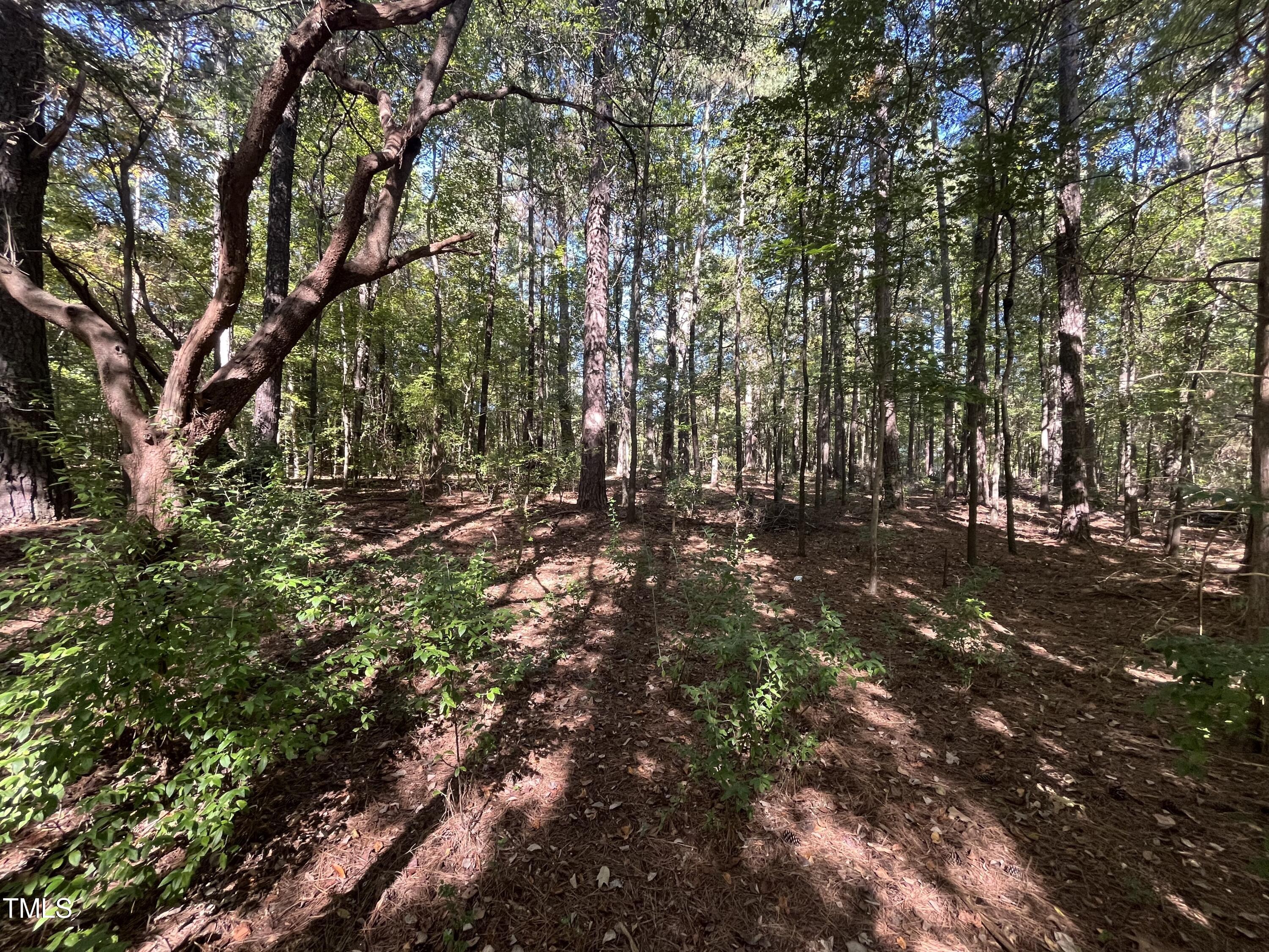 0 Crump Road Property Photo