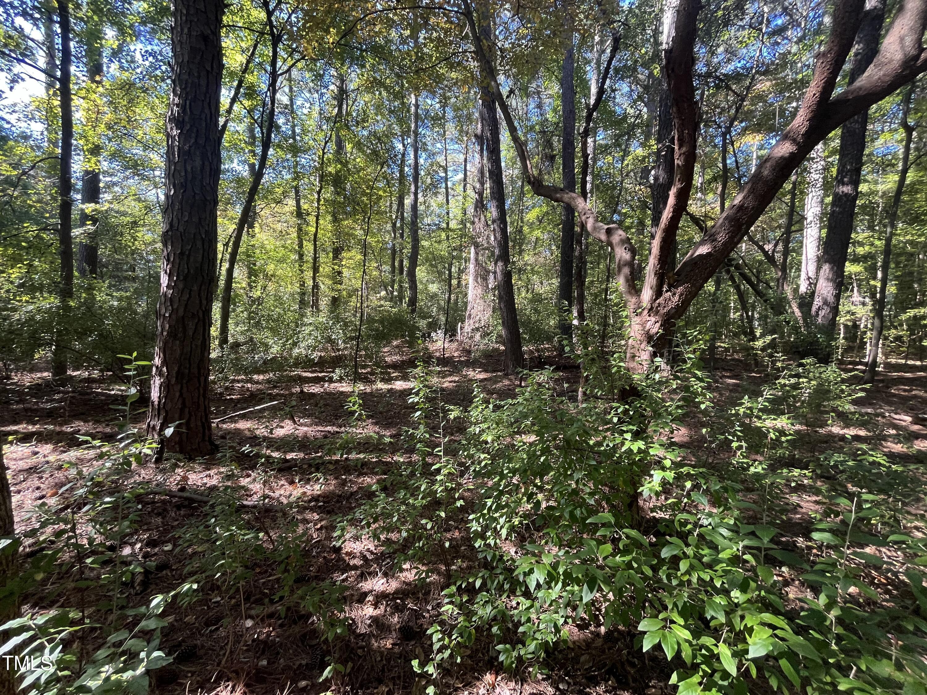 0 Crump Road Property Photo 2