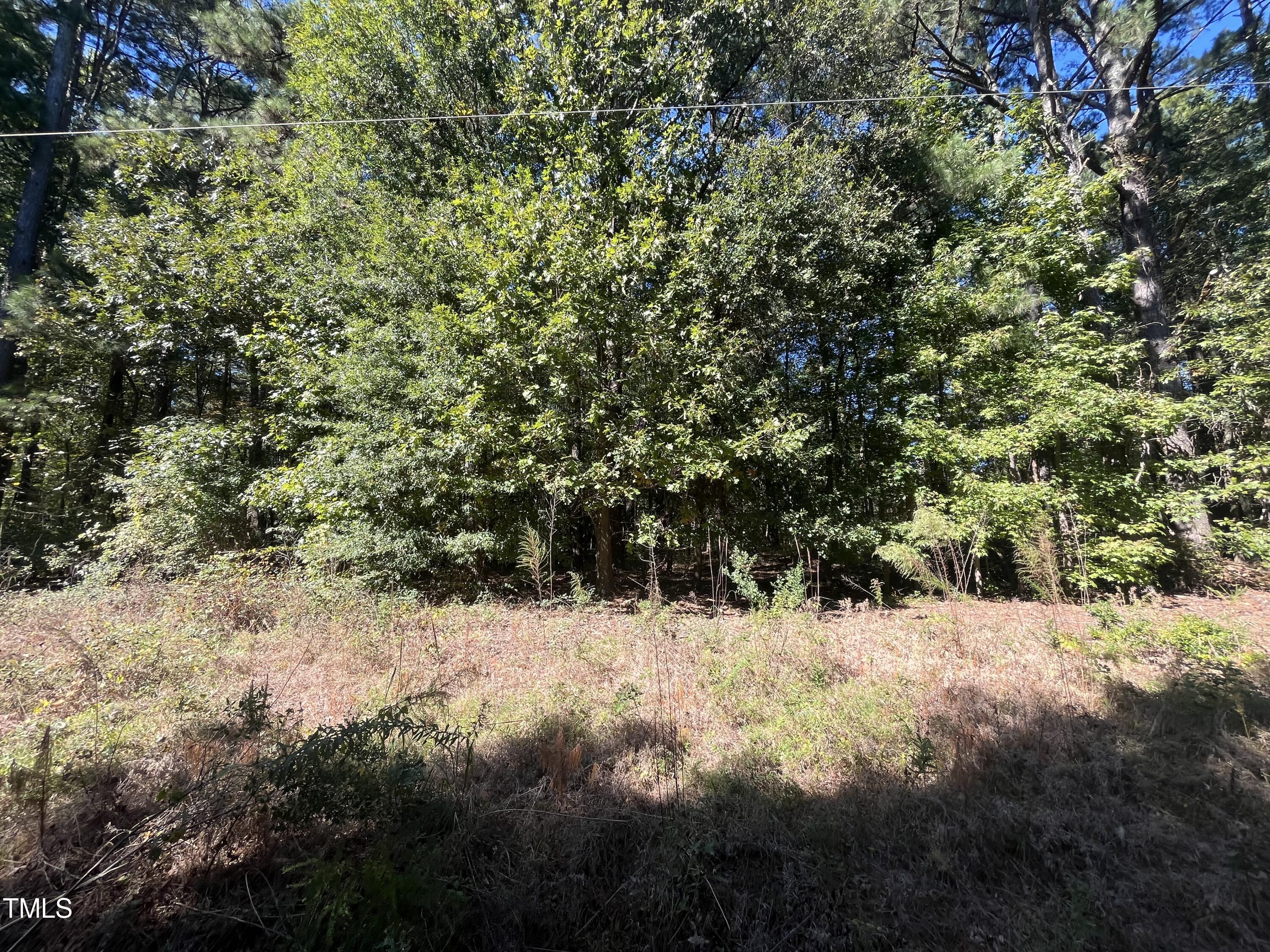 0 Crump Road Property Photo 3