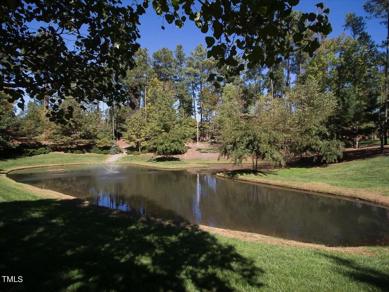151 Swan Lake Property Photo 8