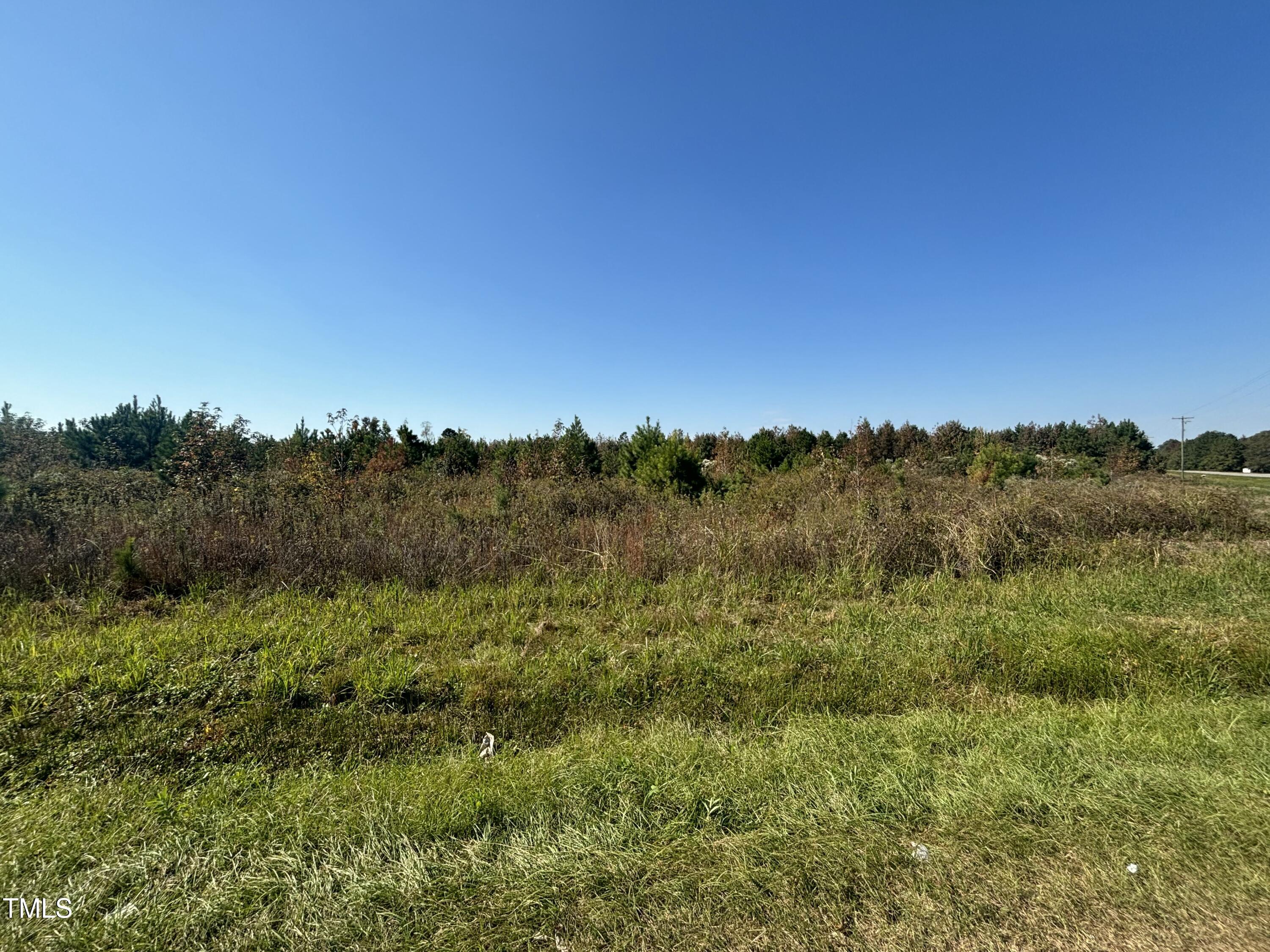 0 Holly Grove Road Road Property Photo 4