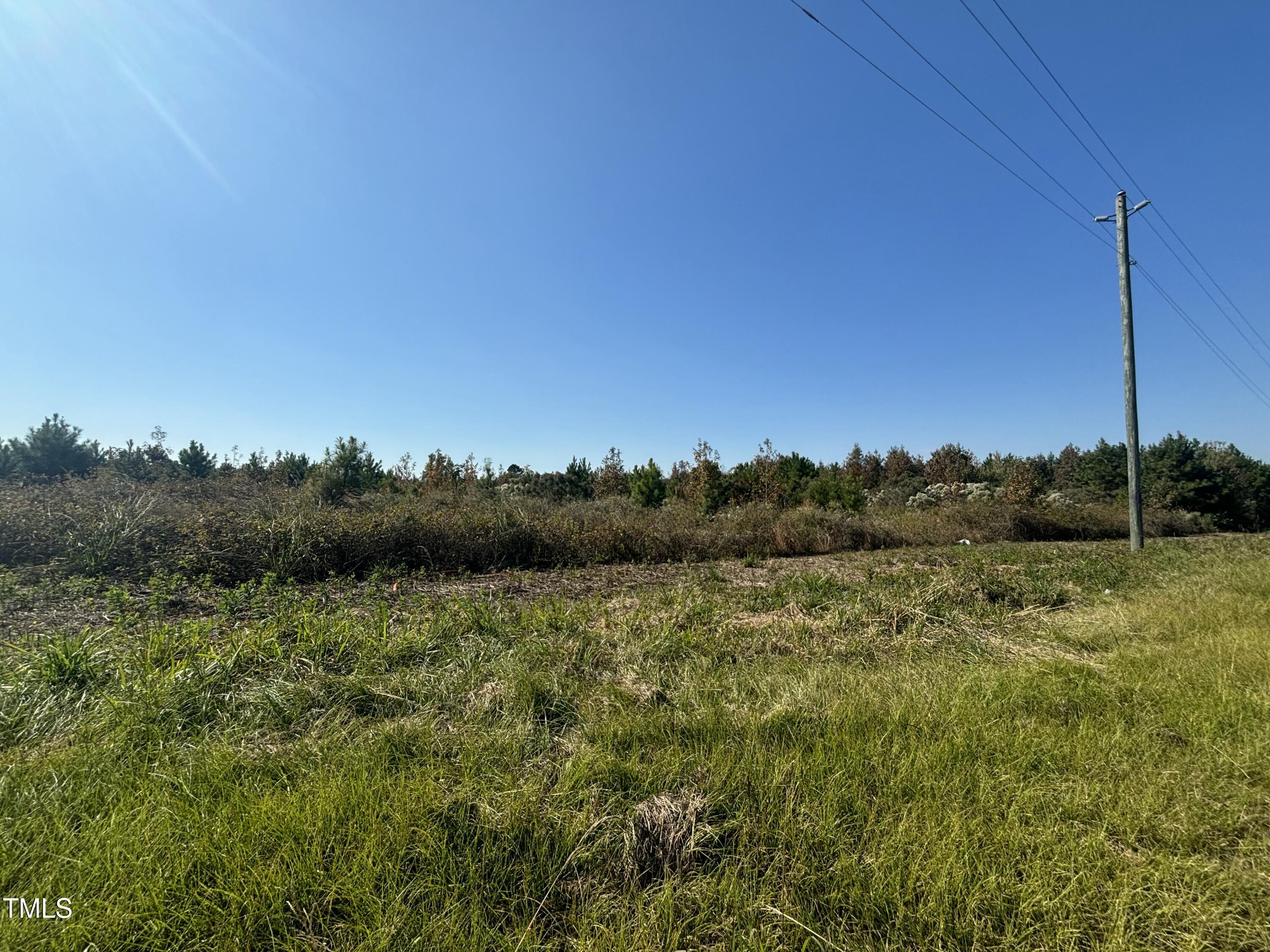 0 Holly Grove Road Road Property Photo 6