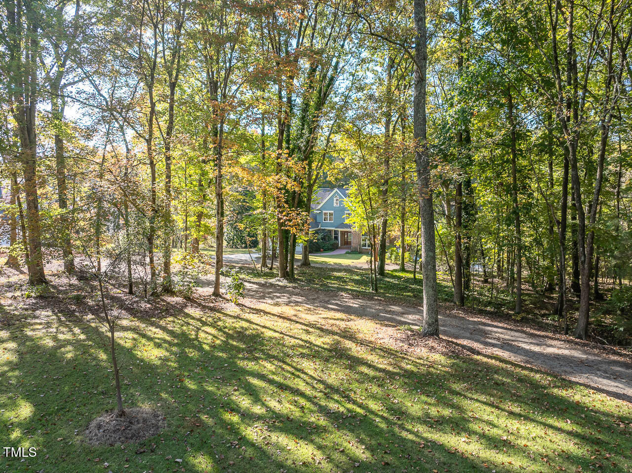 12817 Strickland Road Property Photo 5