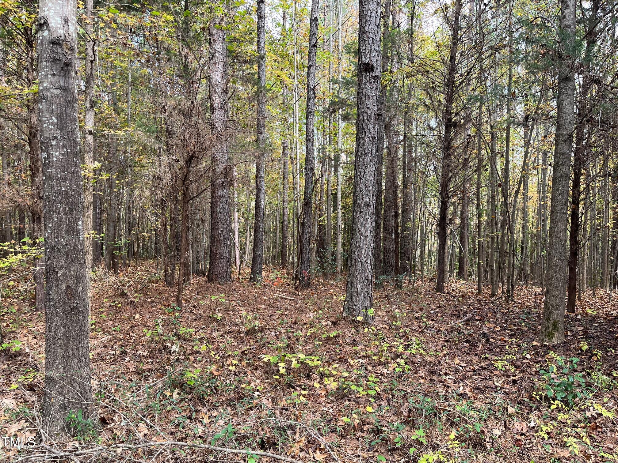 0 Hugh Davis Road Property Photo 1
