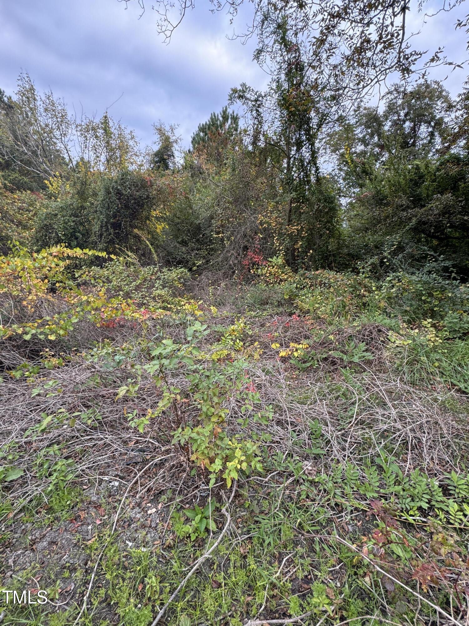 105 Micaville Circle Property Photo