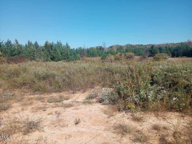 Tbd Paschal Road Property Photo