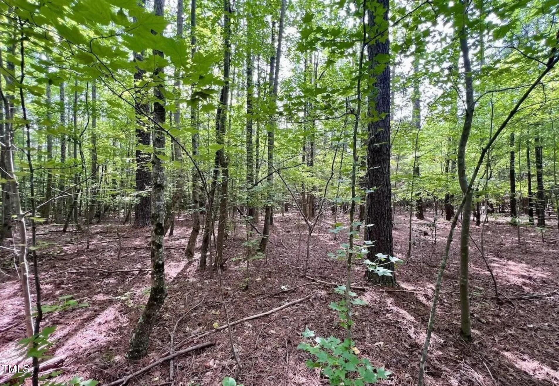 38 Gordon Lane Property Photo 2