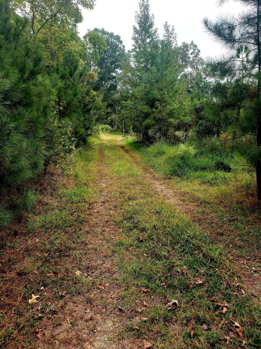 1313 Olive Branch Road Property Photo