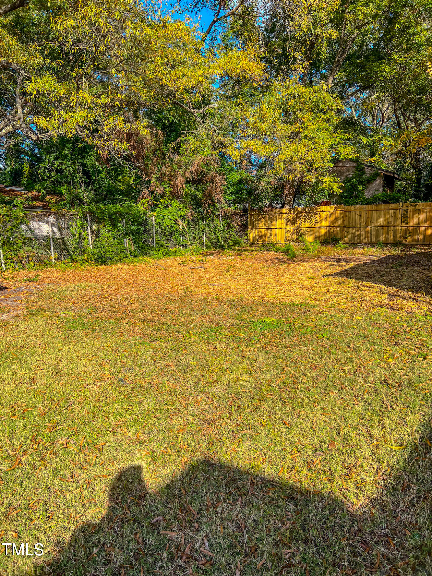 304 Cherry Grove Street Property Photo 46